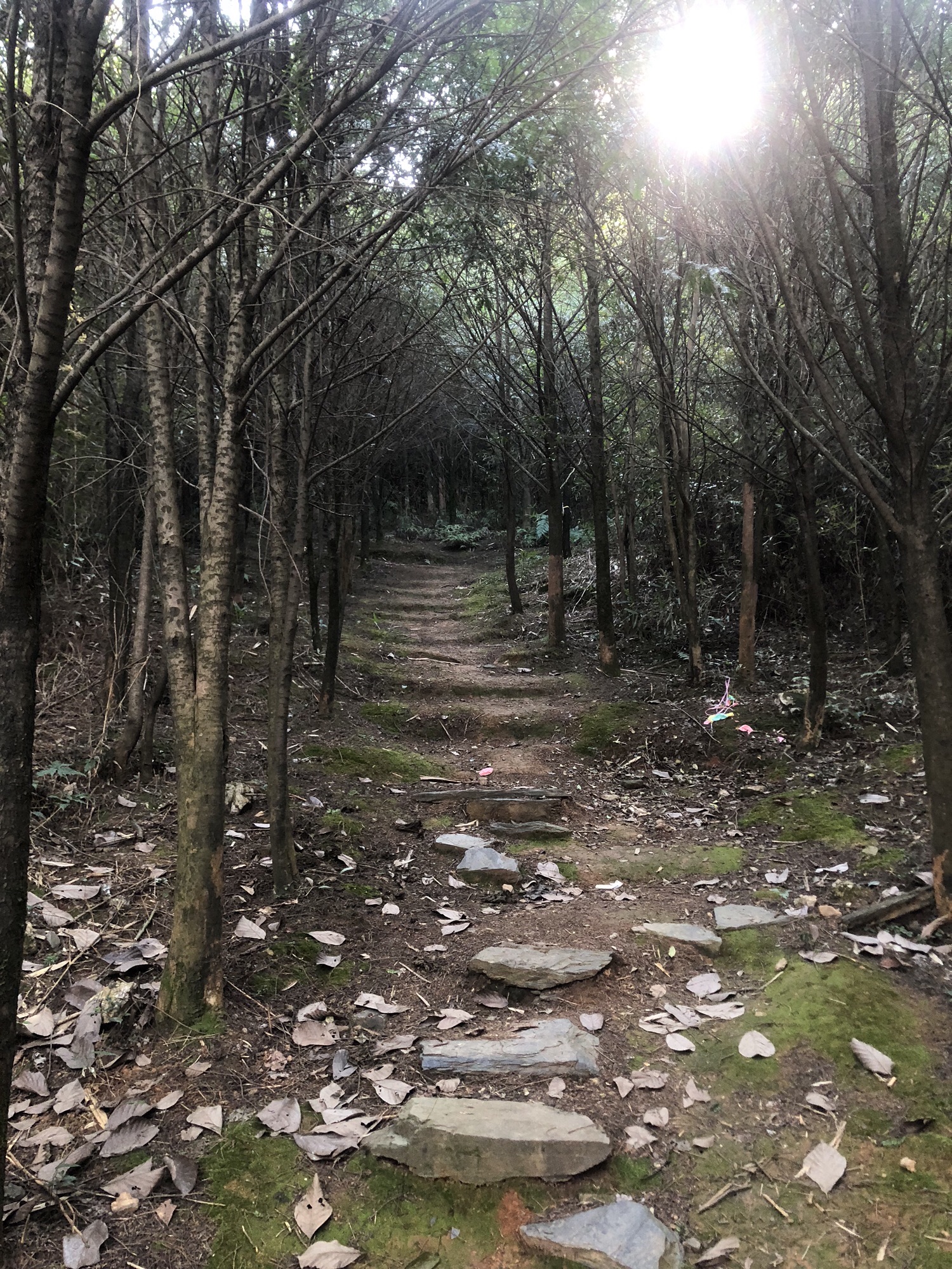 得雨龙山