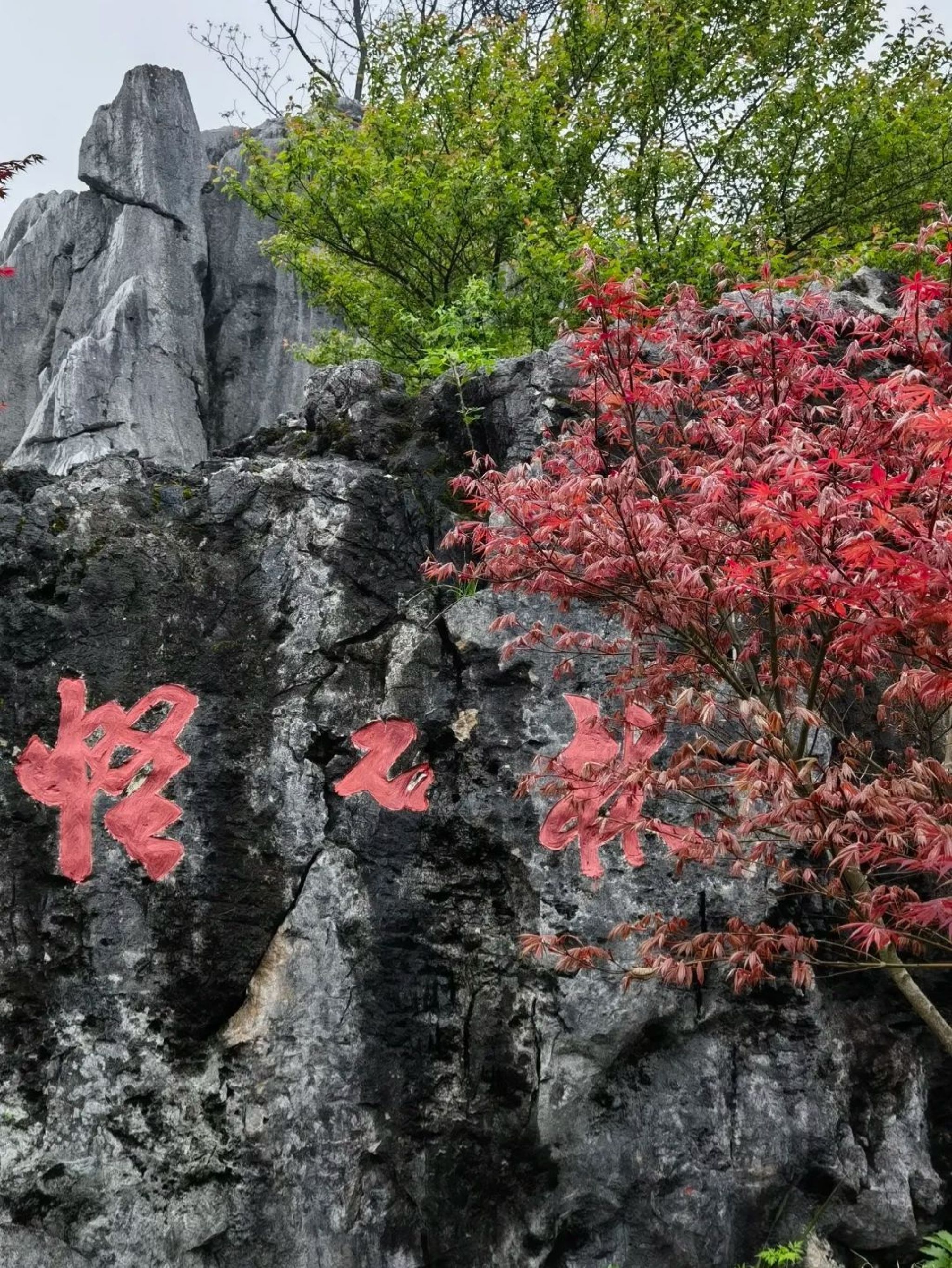 怪石林