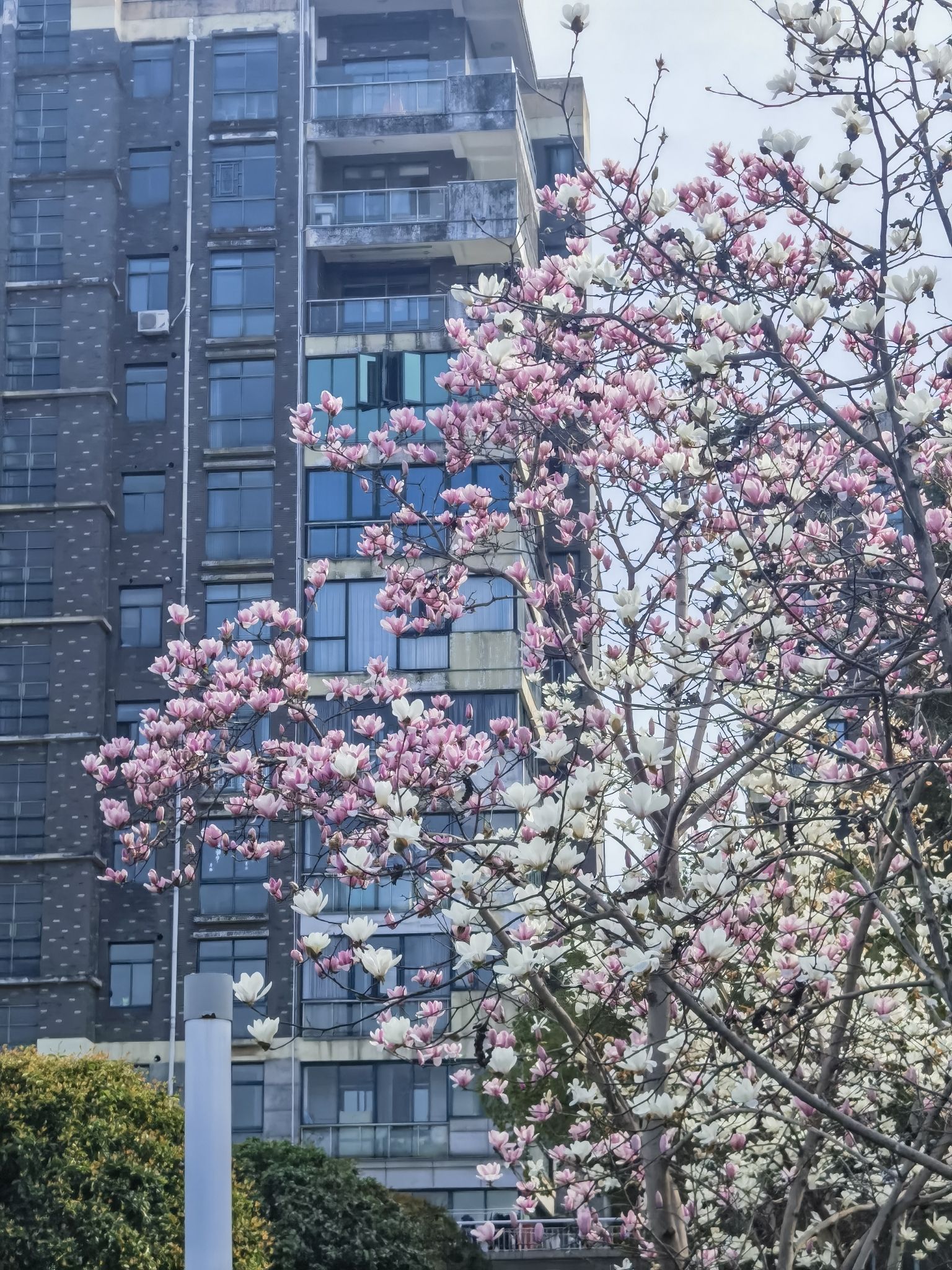 玉湖湿地公园