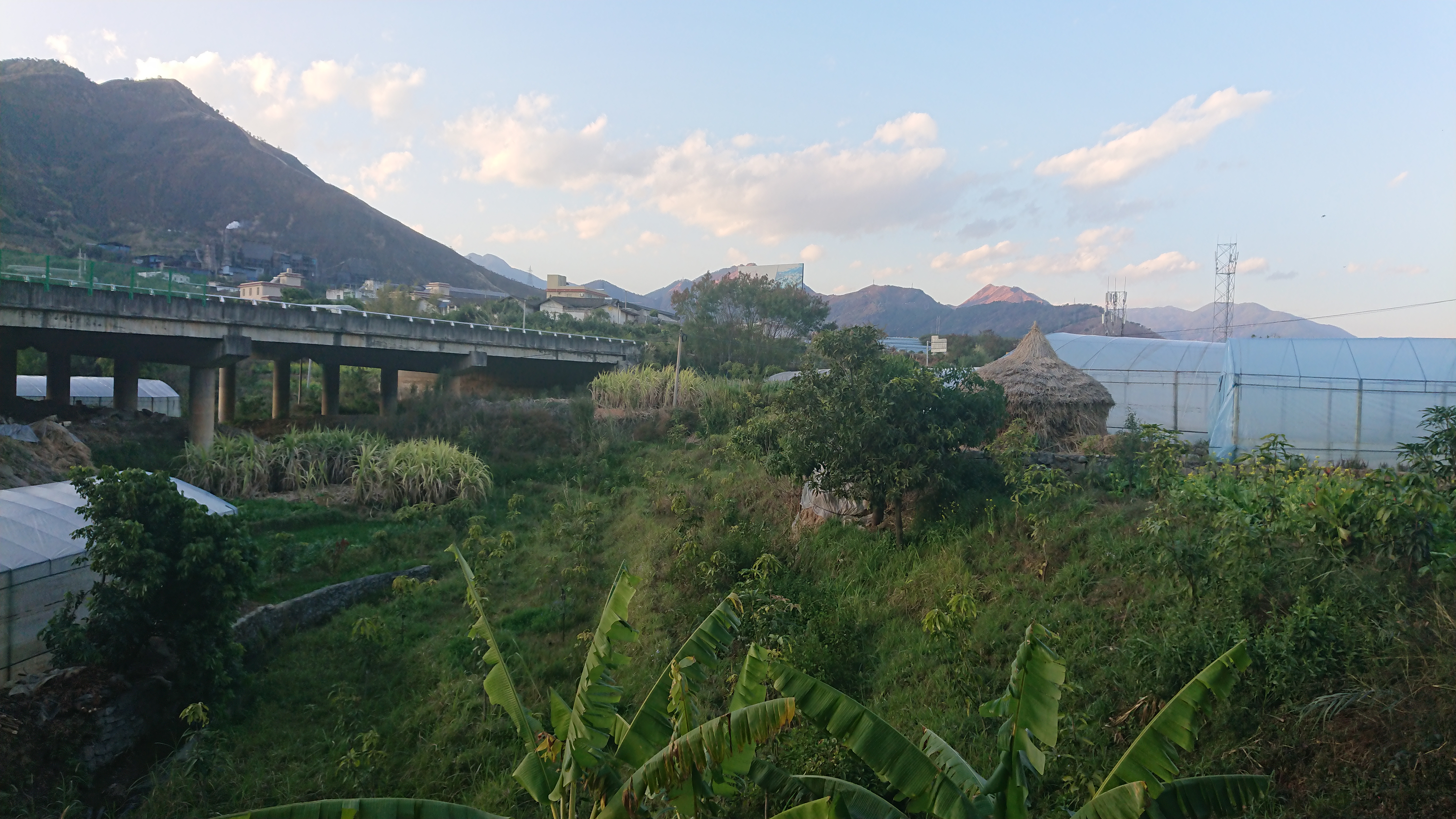 何家坝史前遗址旅行图片