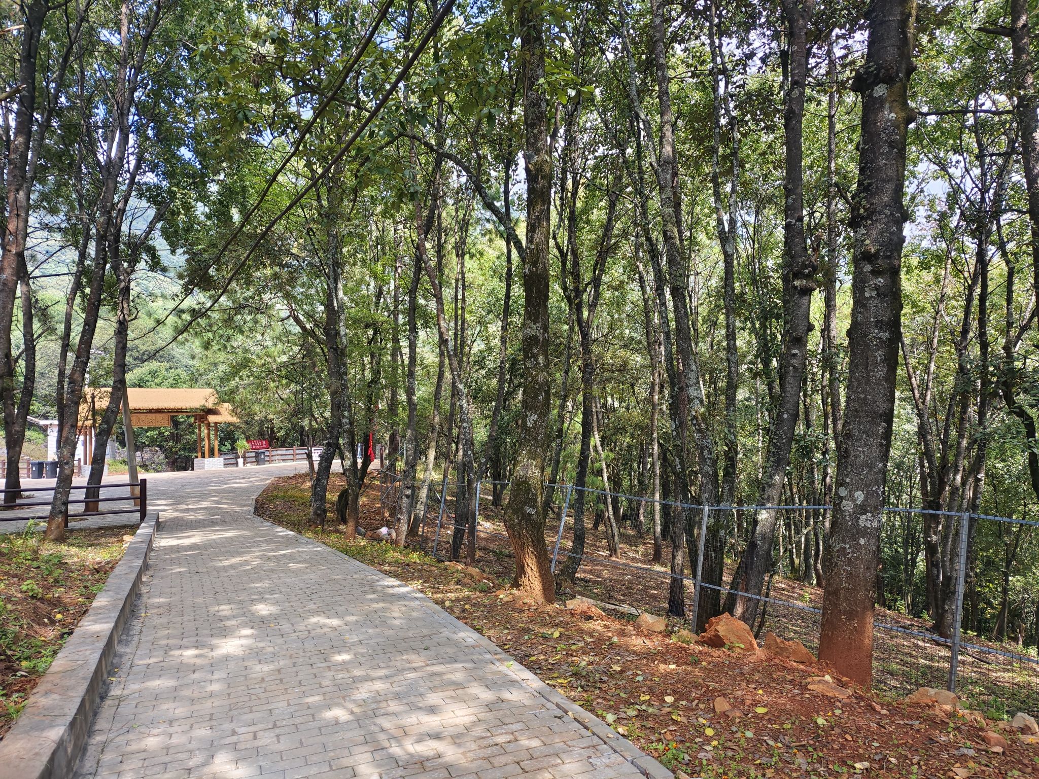 大黑山省级森林公园