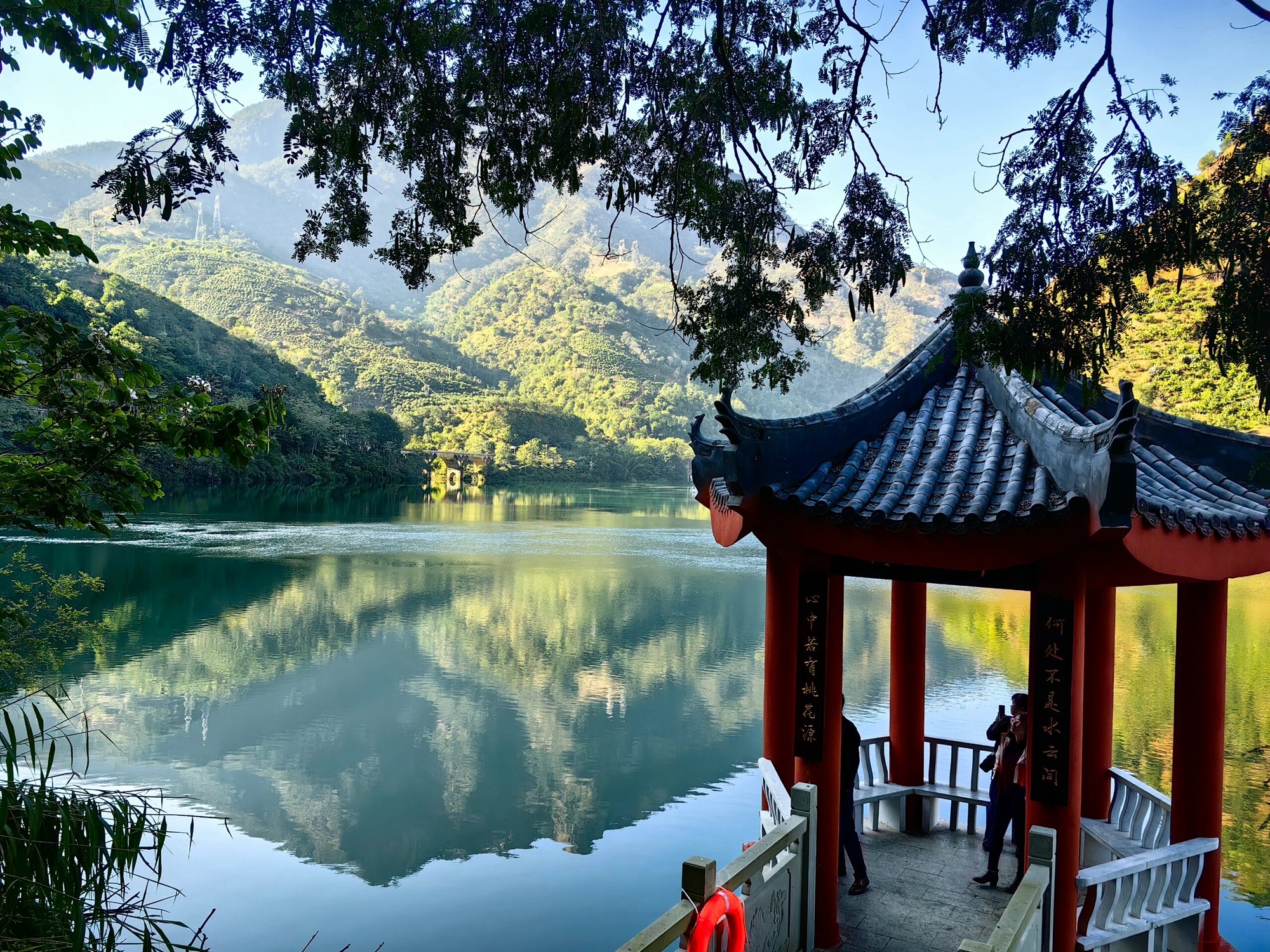 二滩国家森林公园