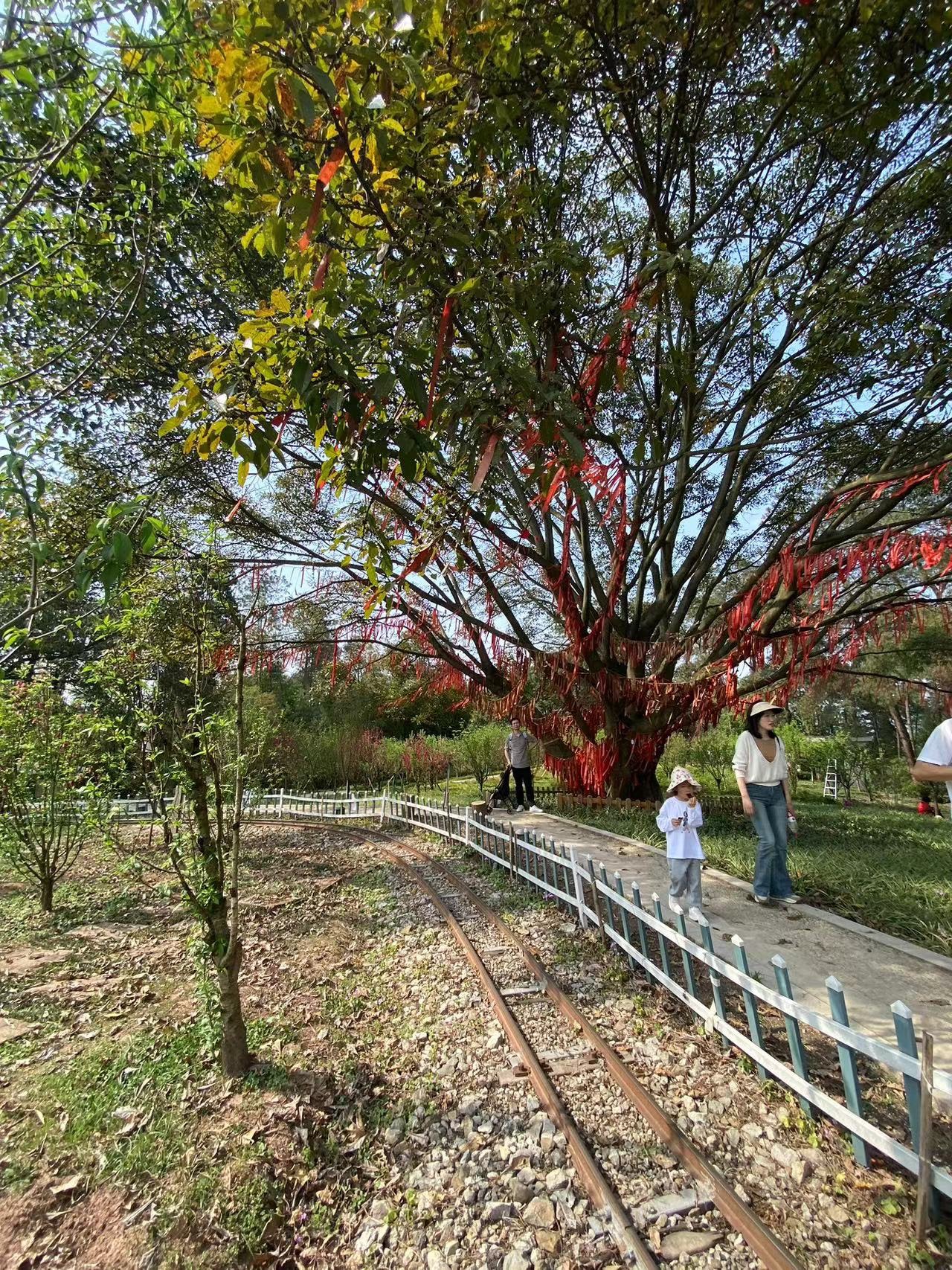 自贡尖山风景区
