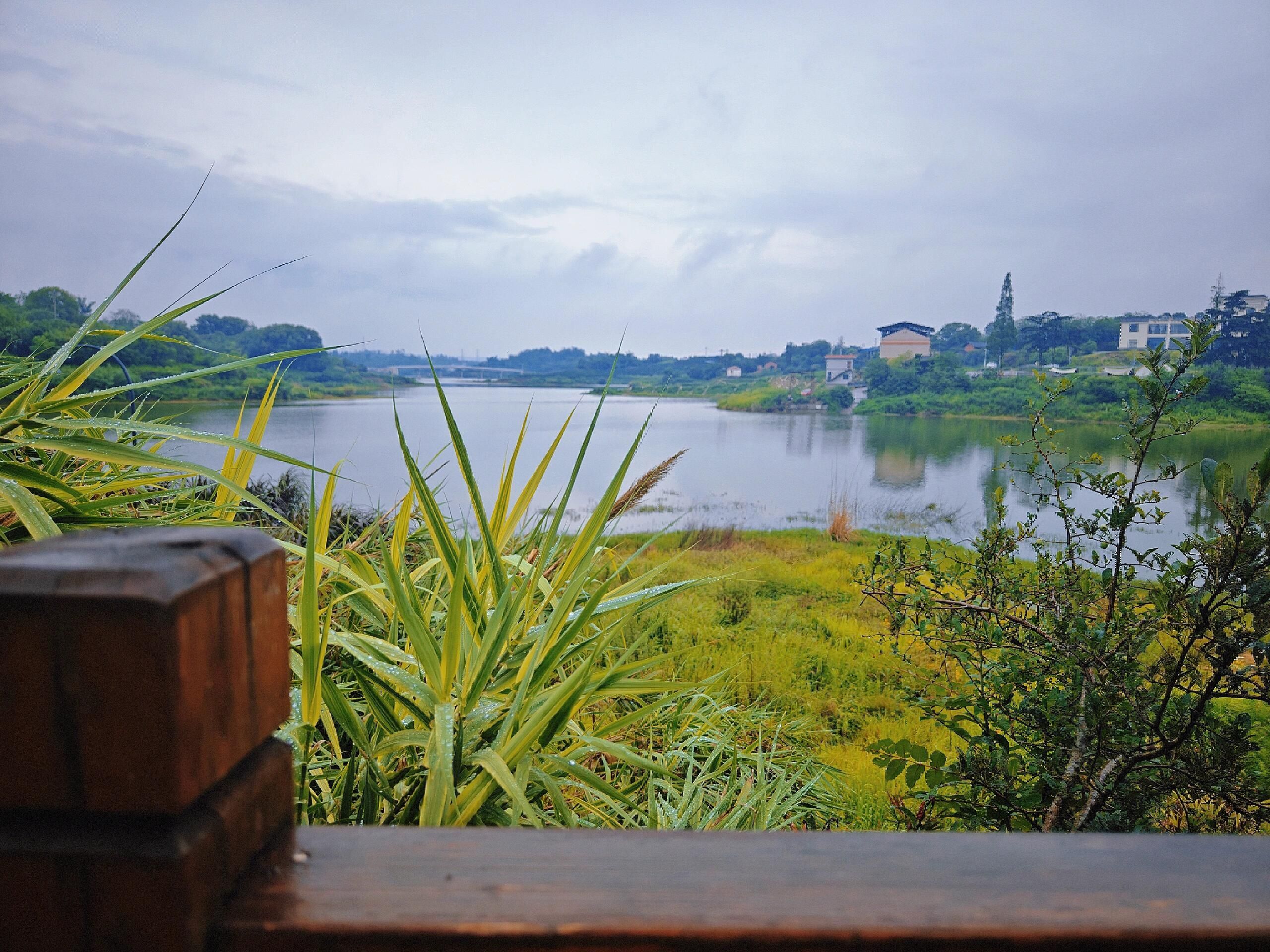 青龙湖