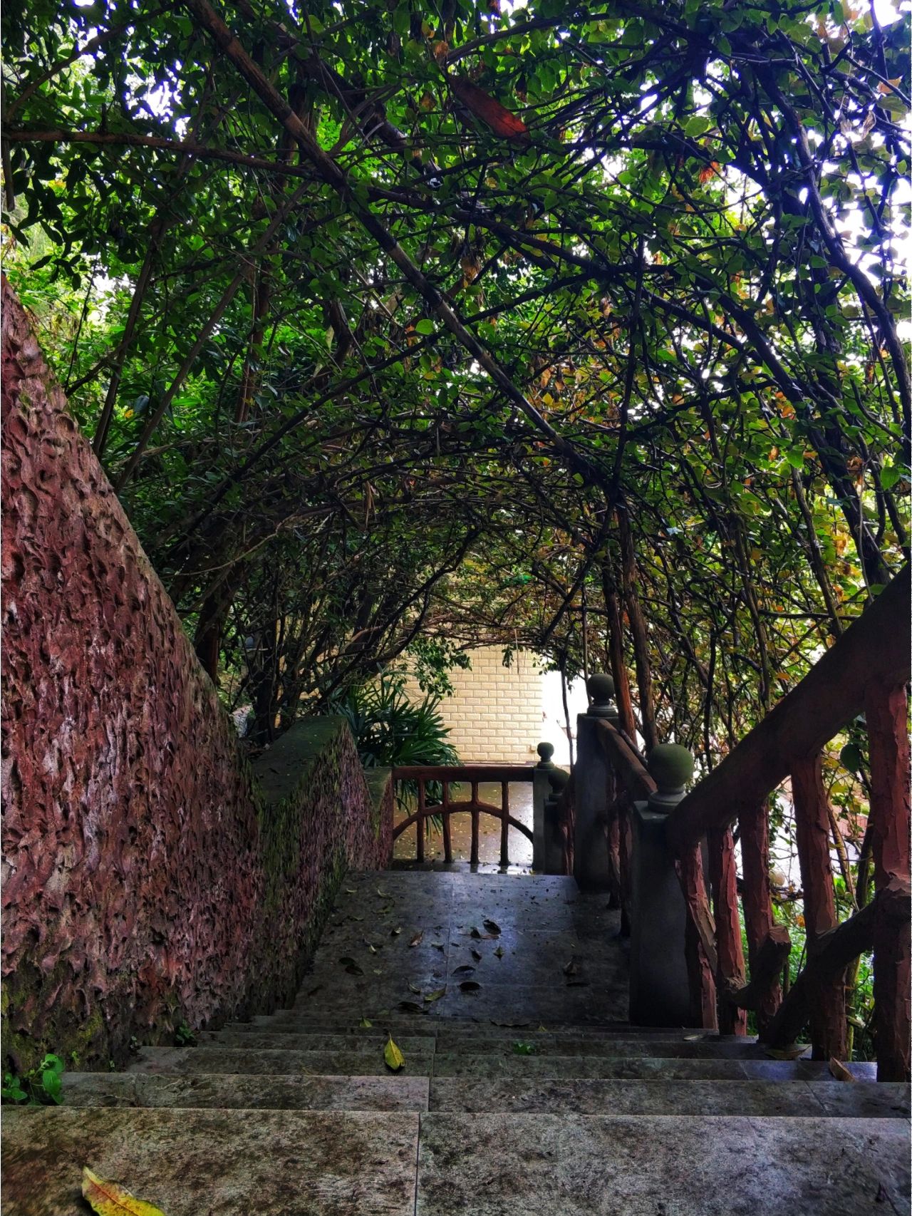 自贡农团生态旅游景区