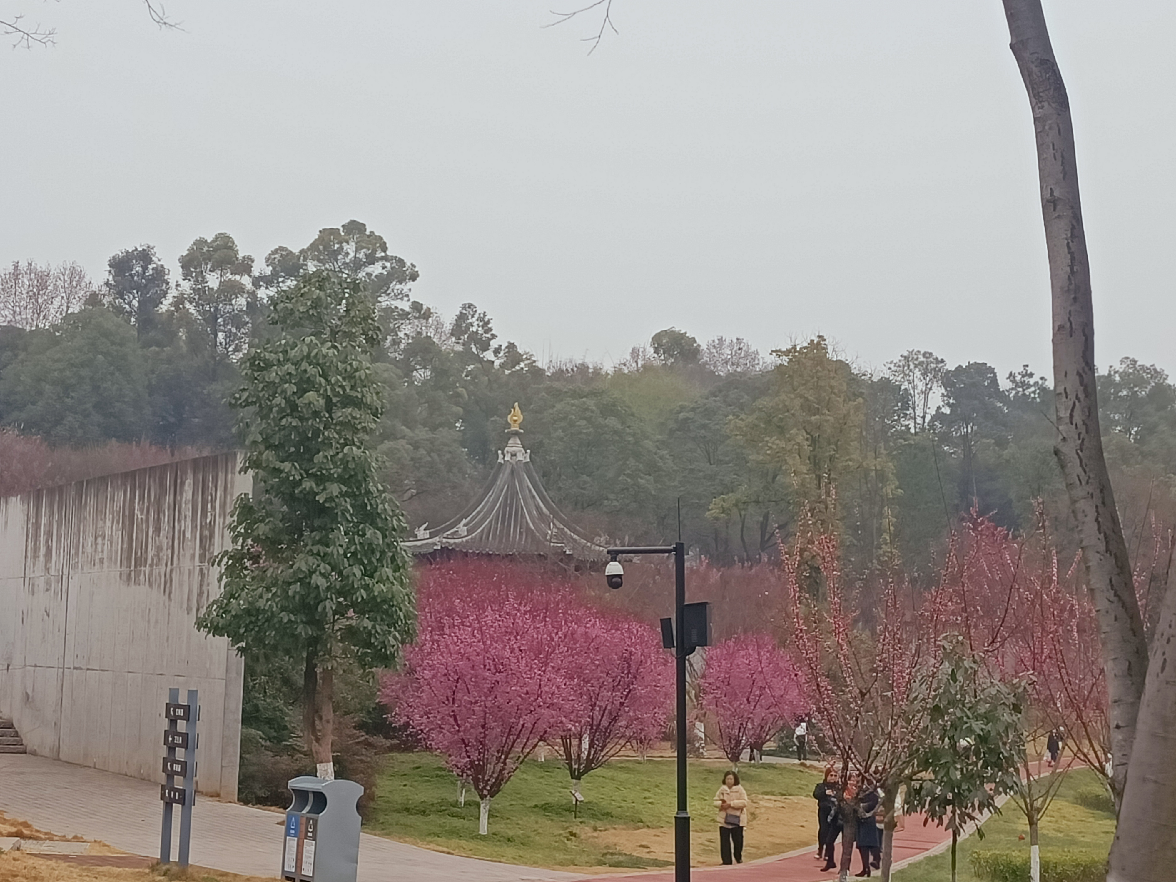 西山子云亭风景区旅行图片