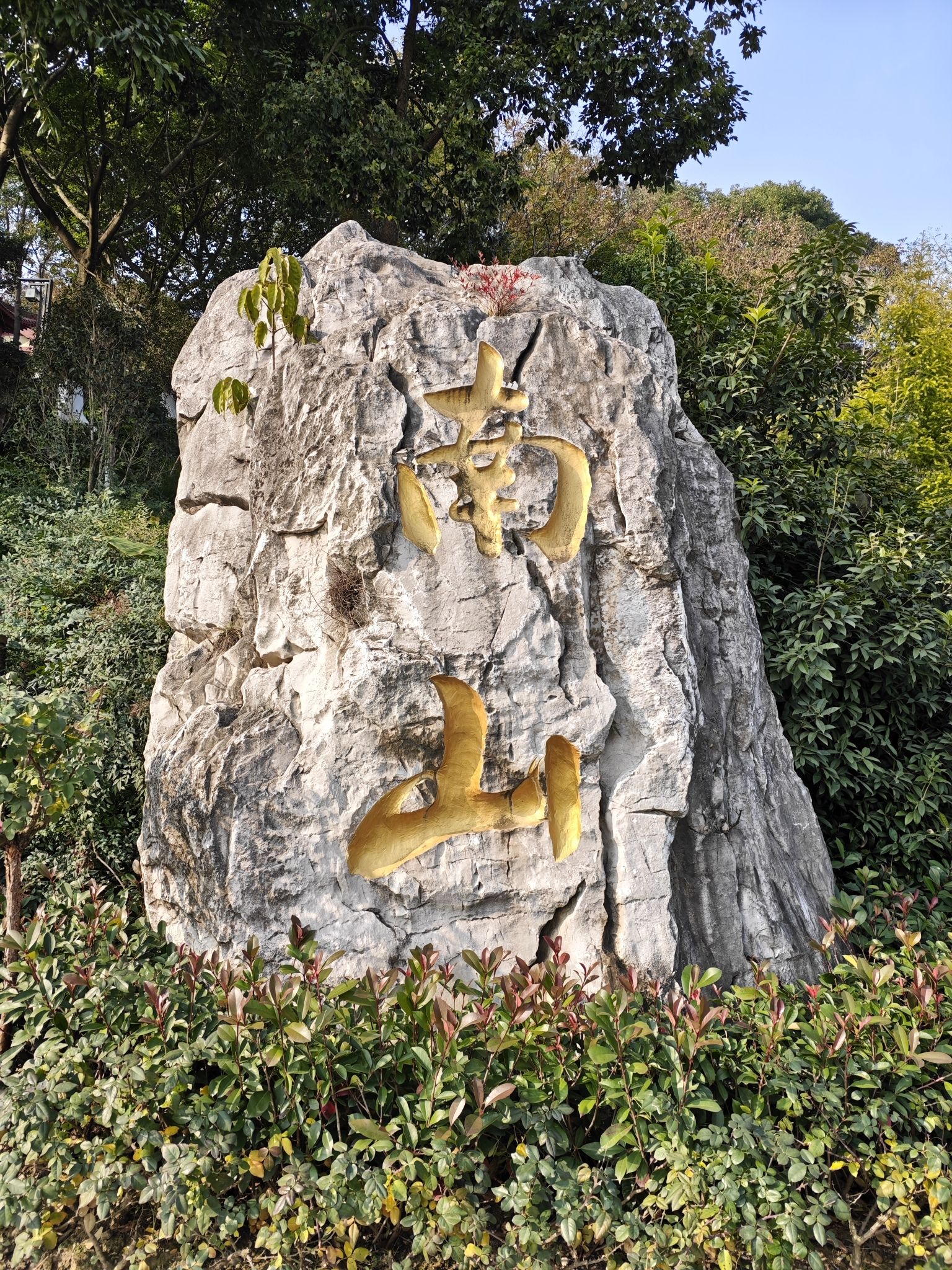南山公园旅行图片