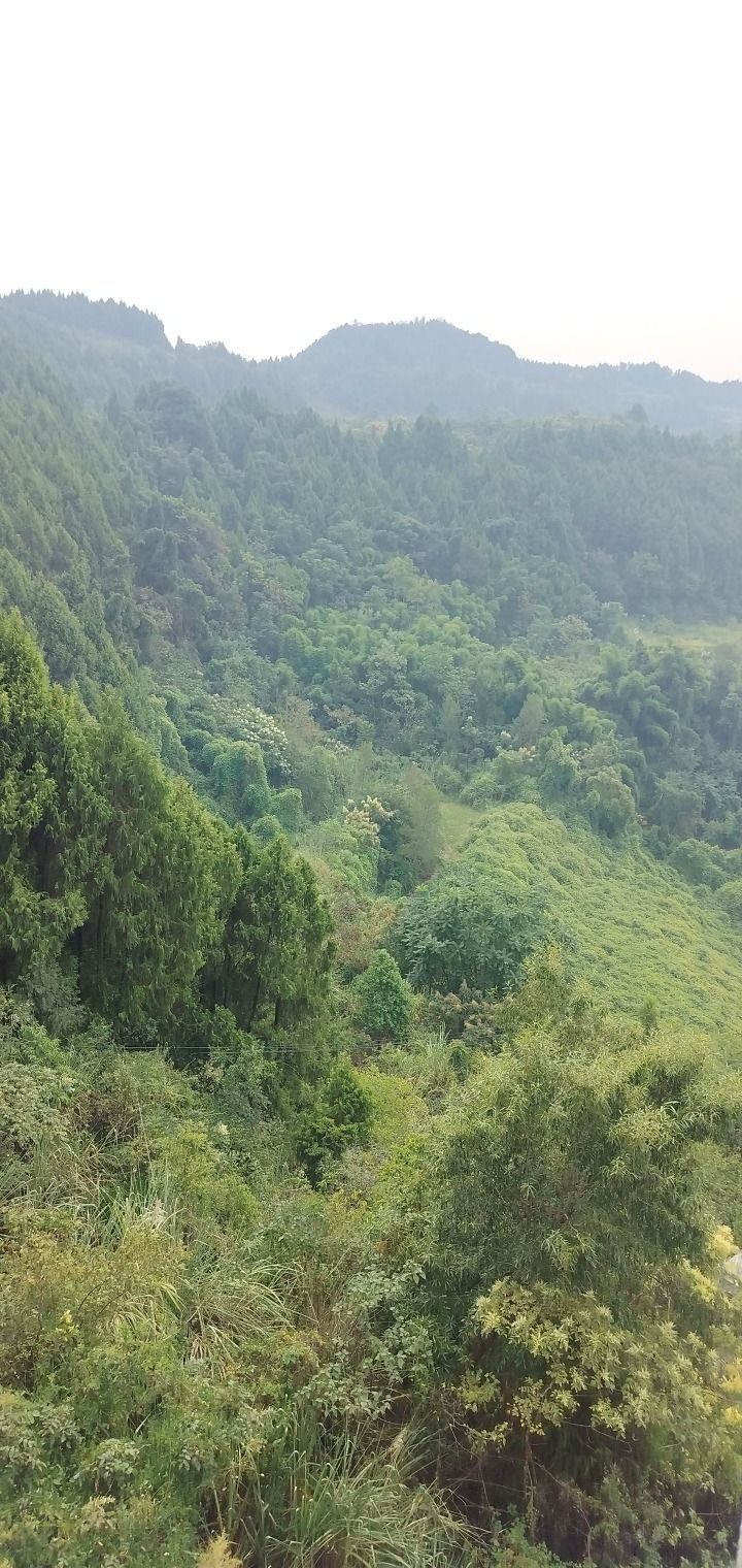 嫘祖故里景区