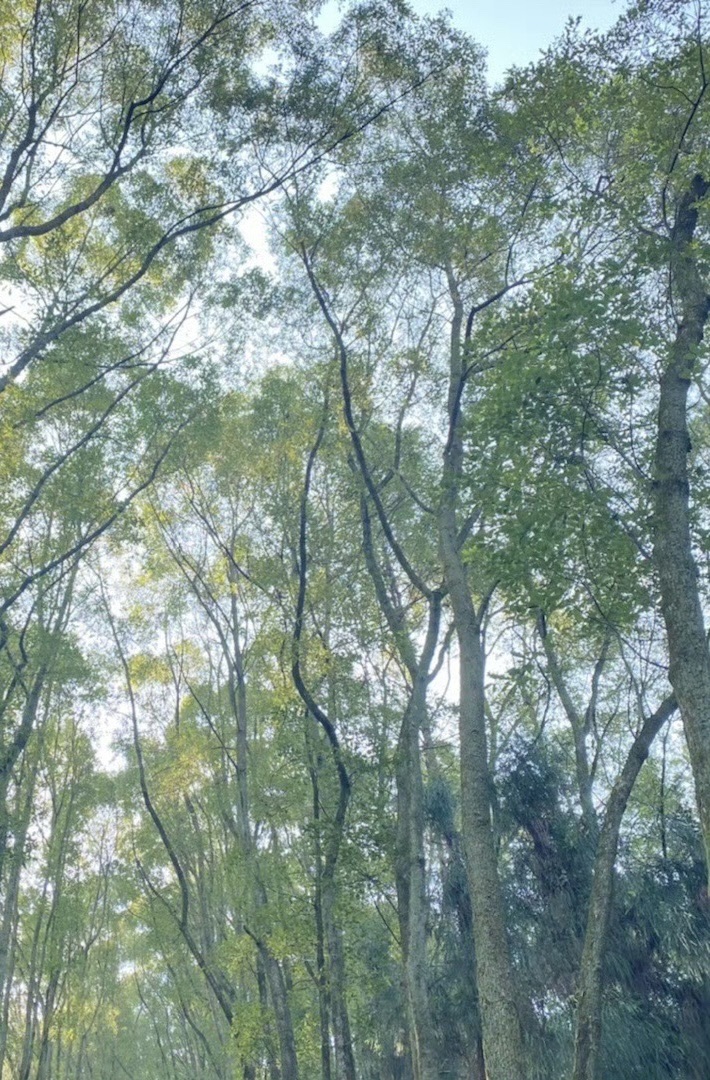 真佛山风景名胜区