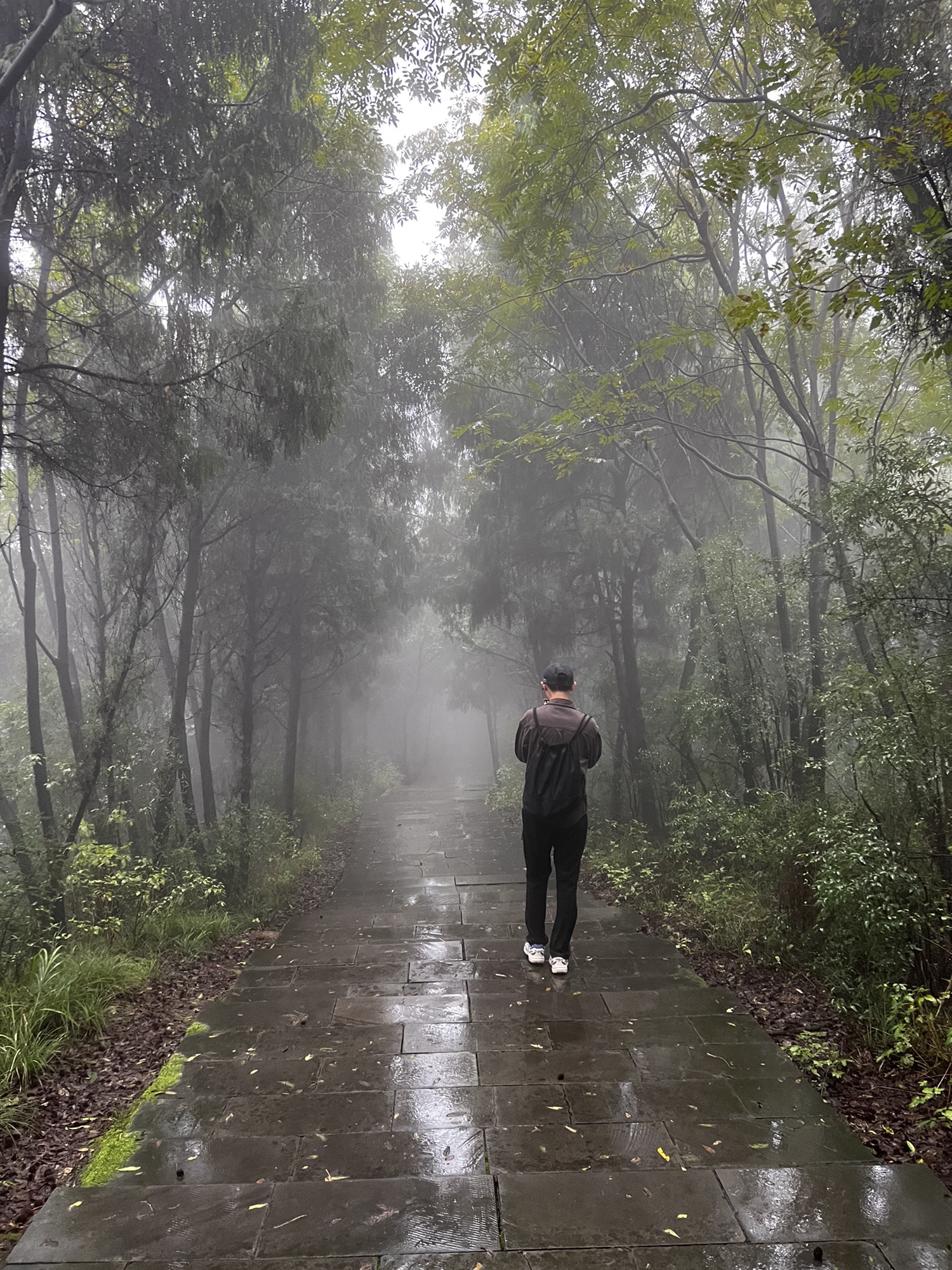 凤凰山公园旅行图片