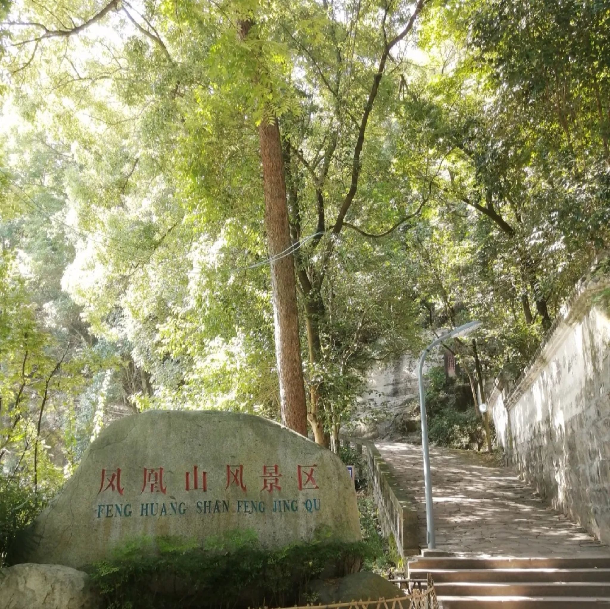 凤凰山公园旅行图片