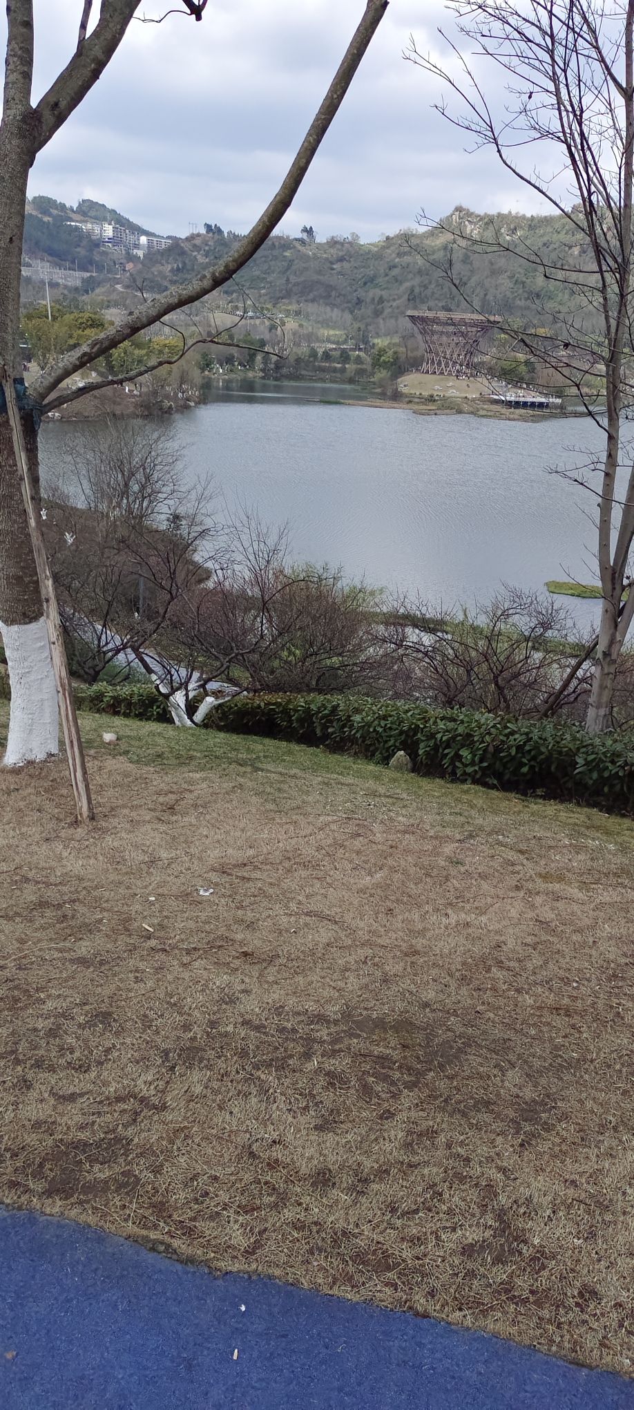 莲花湖湿地公园旅行图片