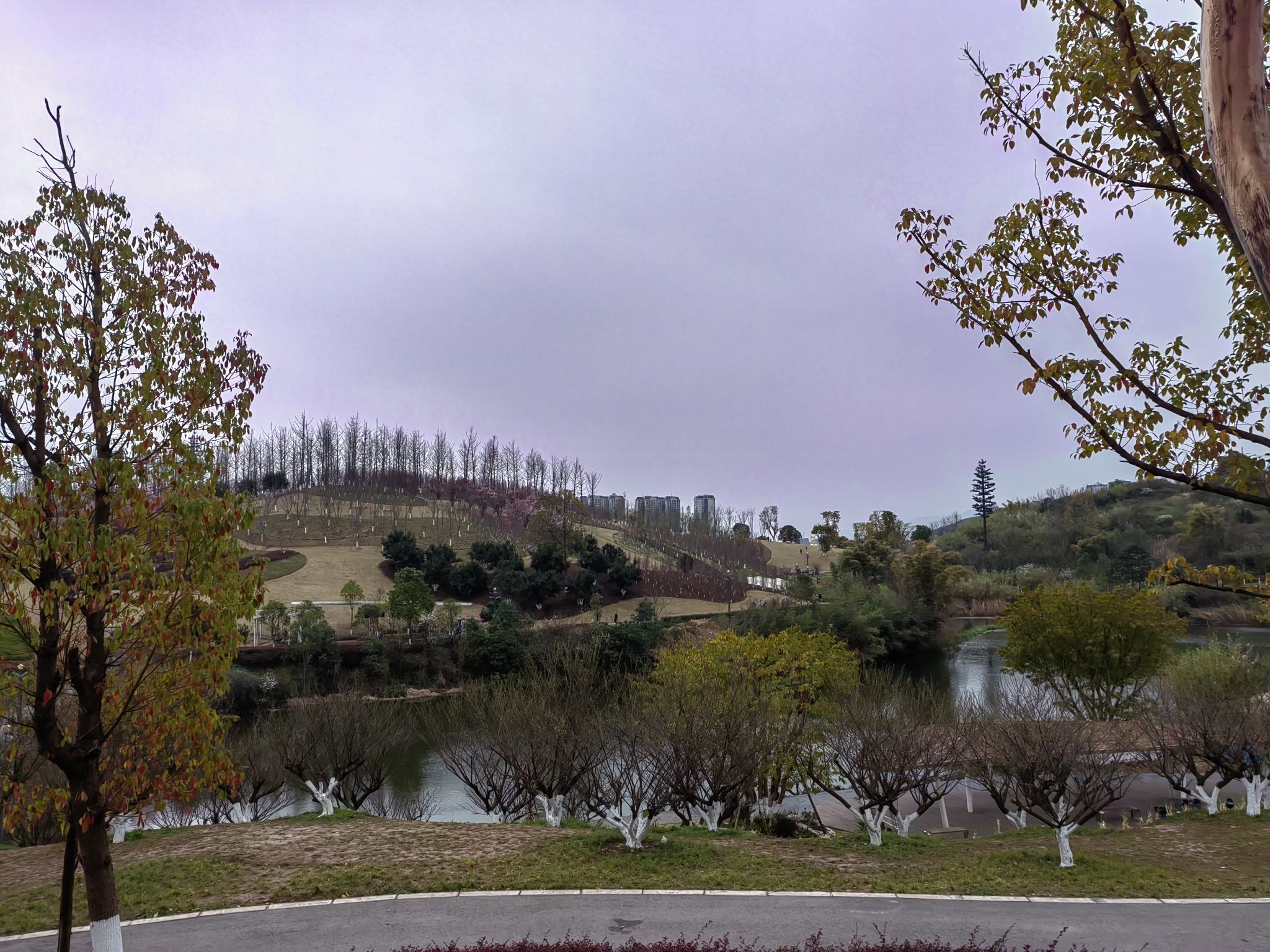 莲花湖湿地公园旅行图片