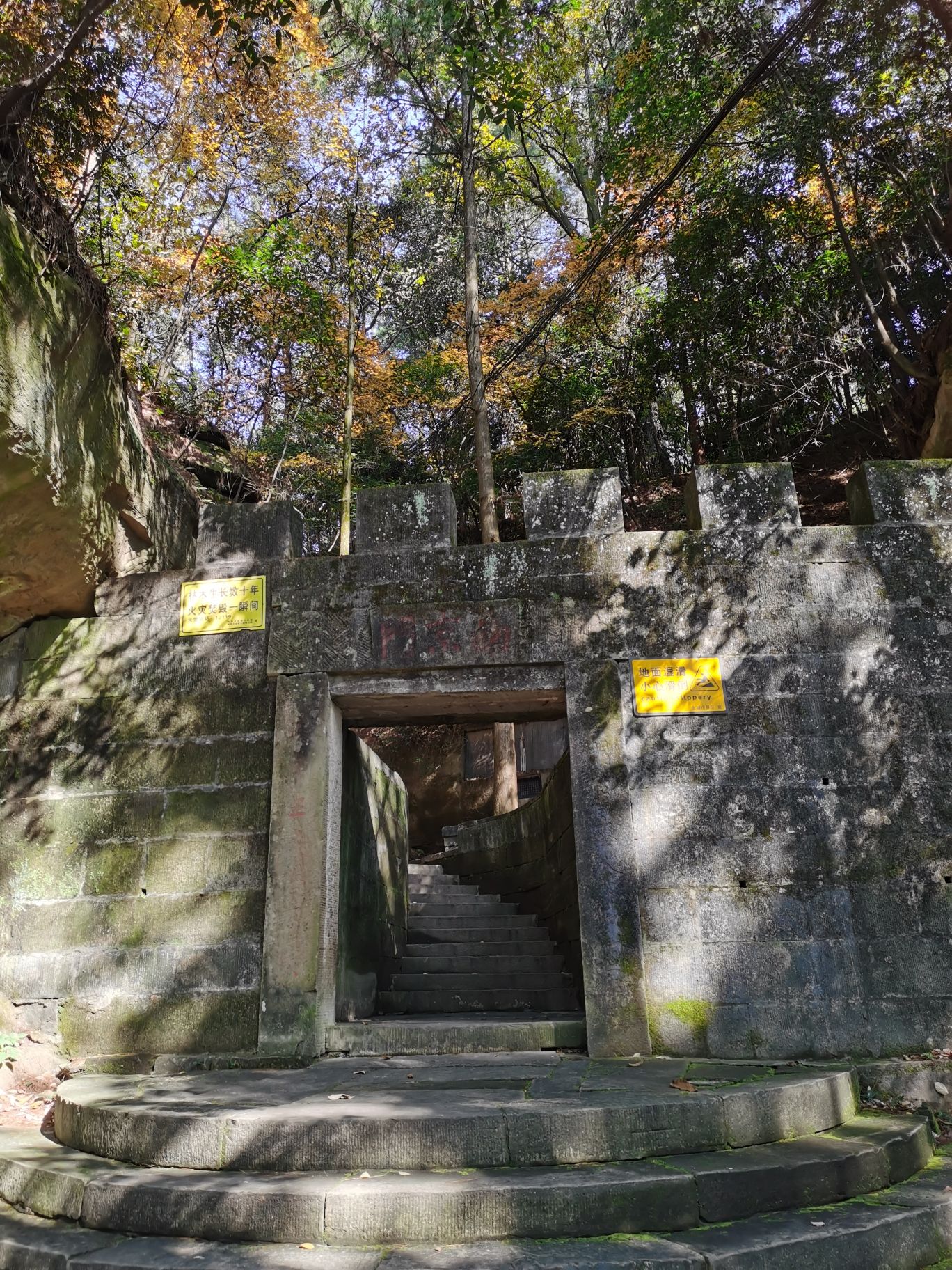 金城山森林公园(暂停开放)旅行图片