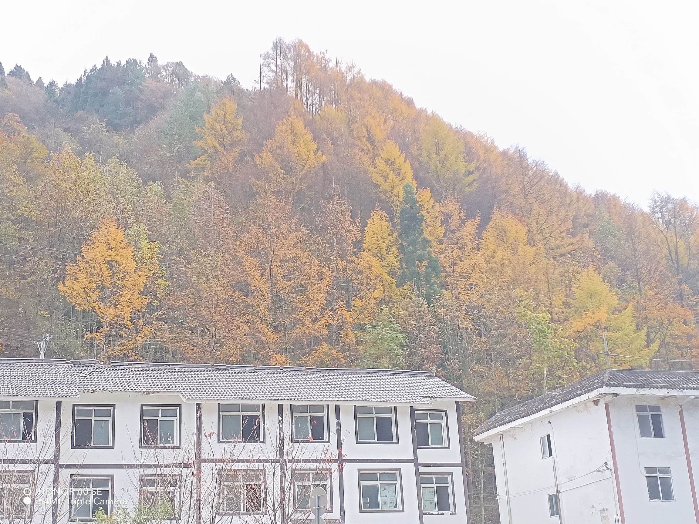 光雾山旅游景区旅行图片