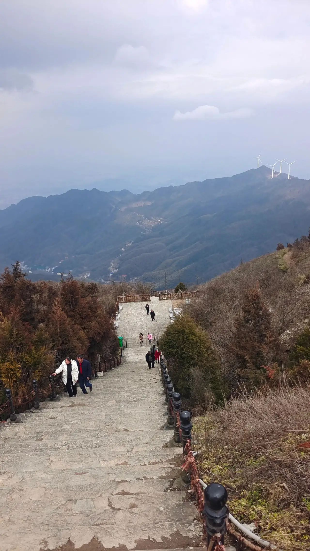 镇龙山国家森林公园旅行图片
