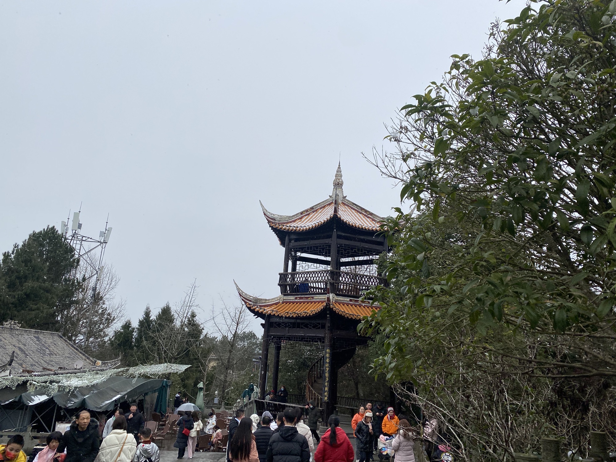 镇龙山国家森林公园旅行图片