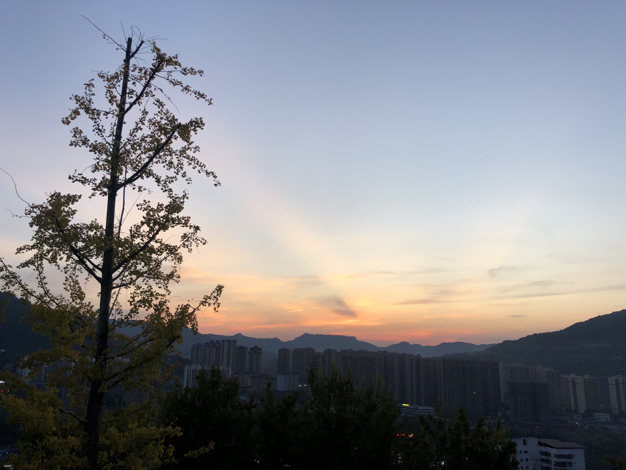 镇龙山国家森林公园旅行图片