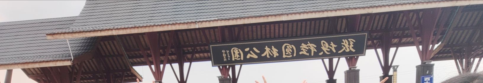 张坝桂圆林公园旅行图片