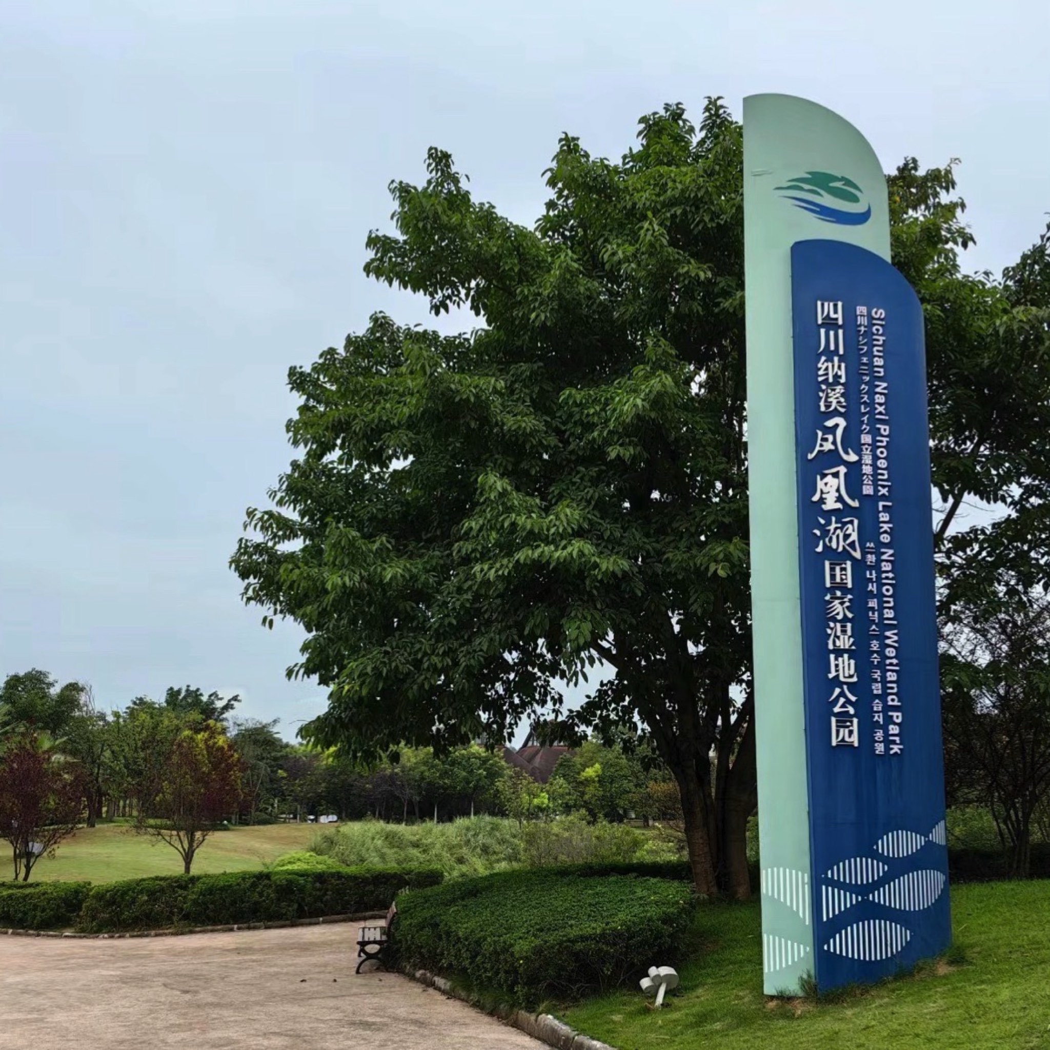 凤凰湖风景区旅行图片