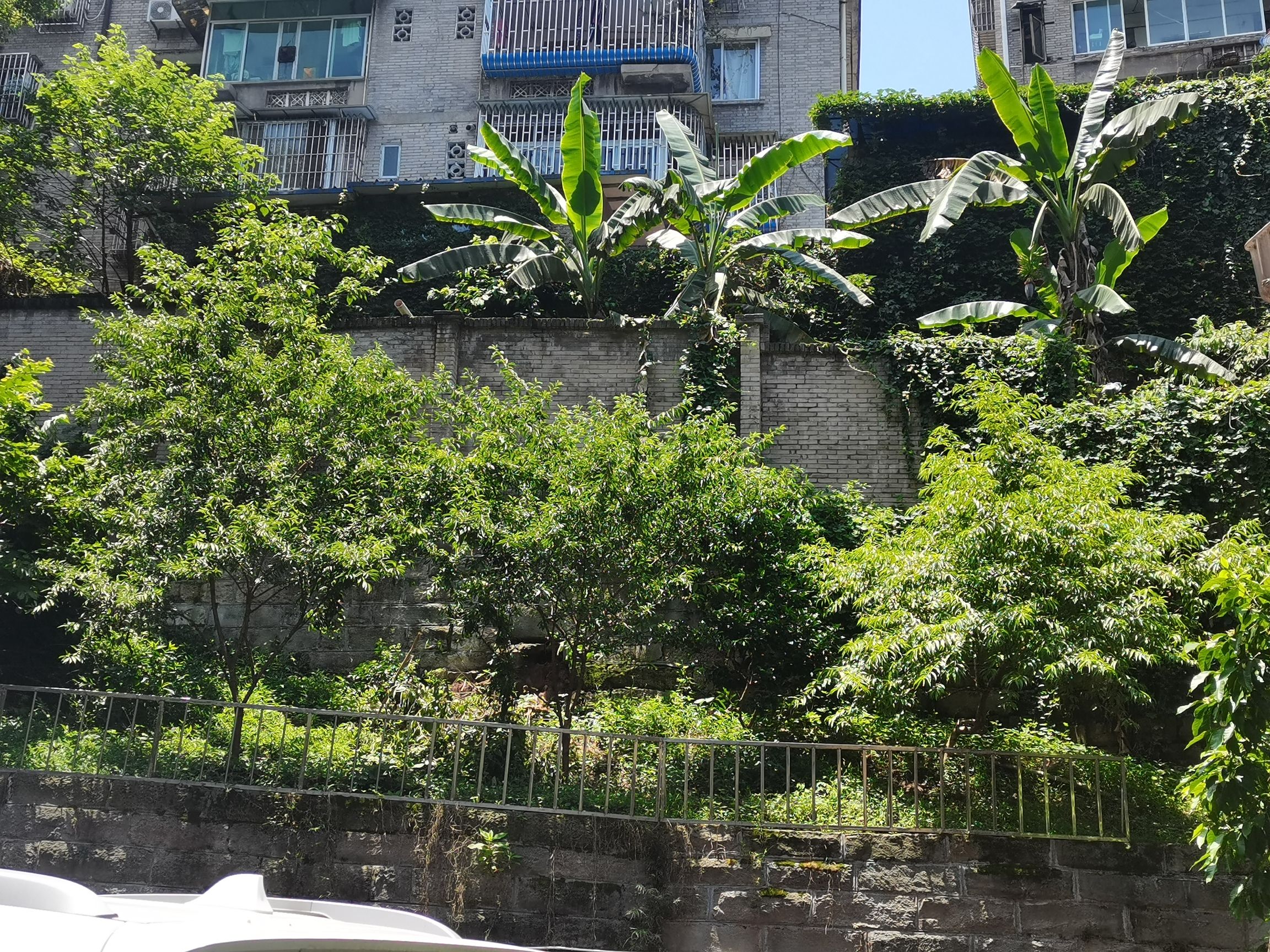 忠山公园