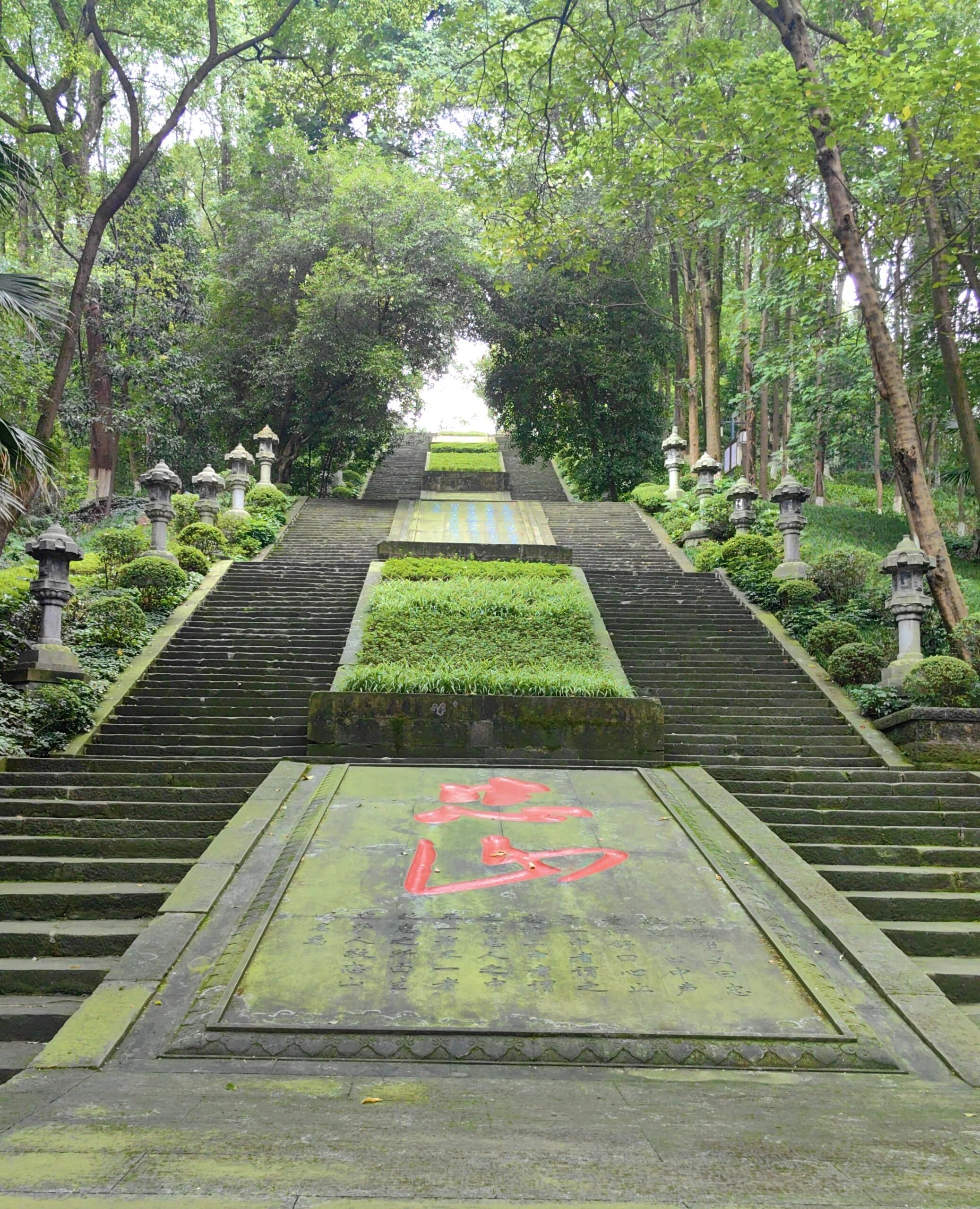 忠山公园旅行图片