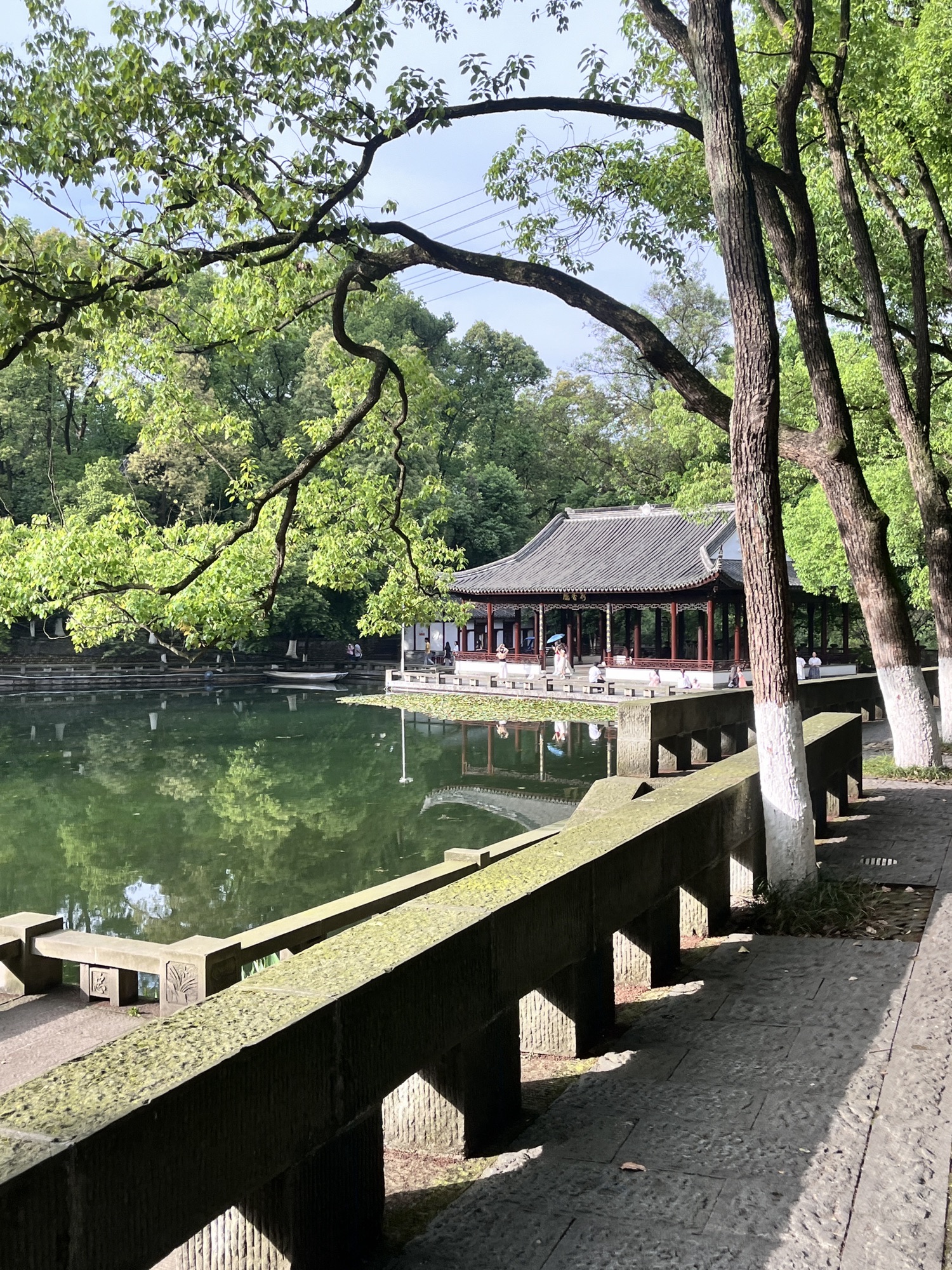 忠山公园旅行图片