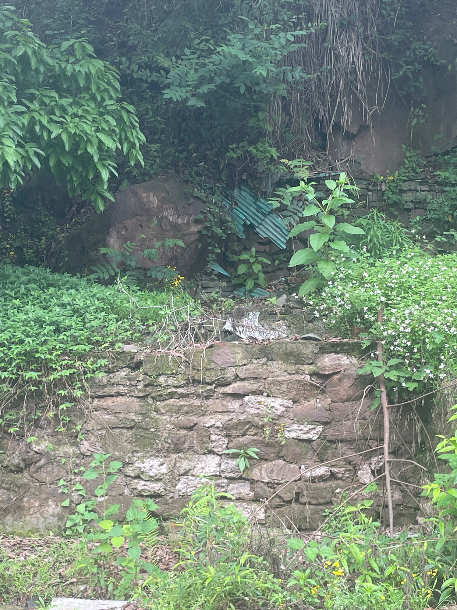 洞窝风景区