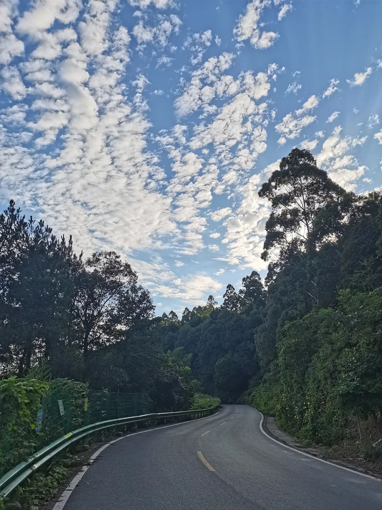 七星山森林公园