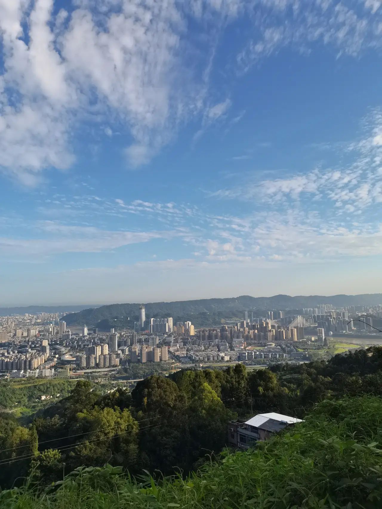 七星山森林公园旅行图片
