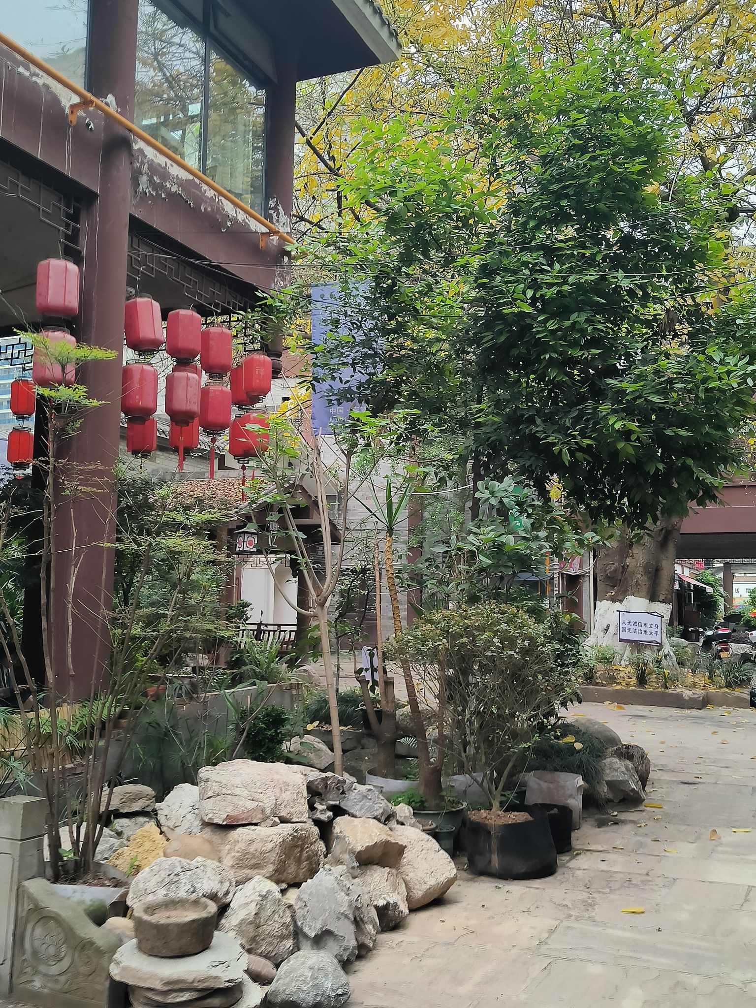 南溪古街旅行图片