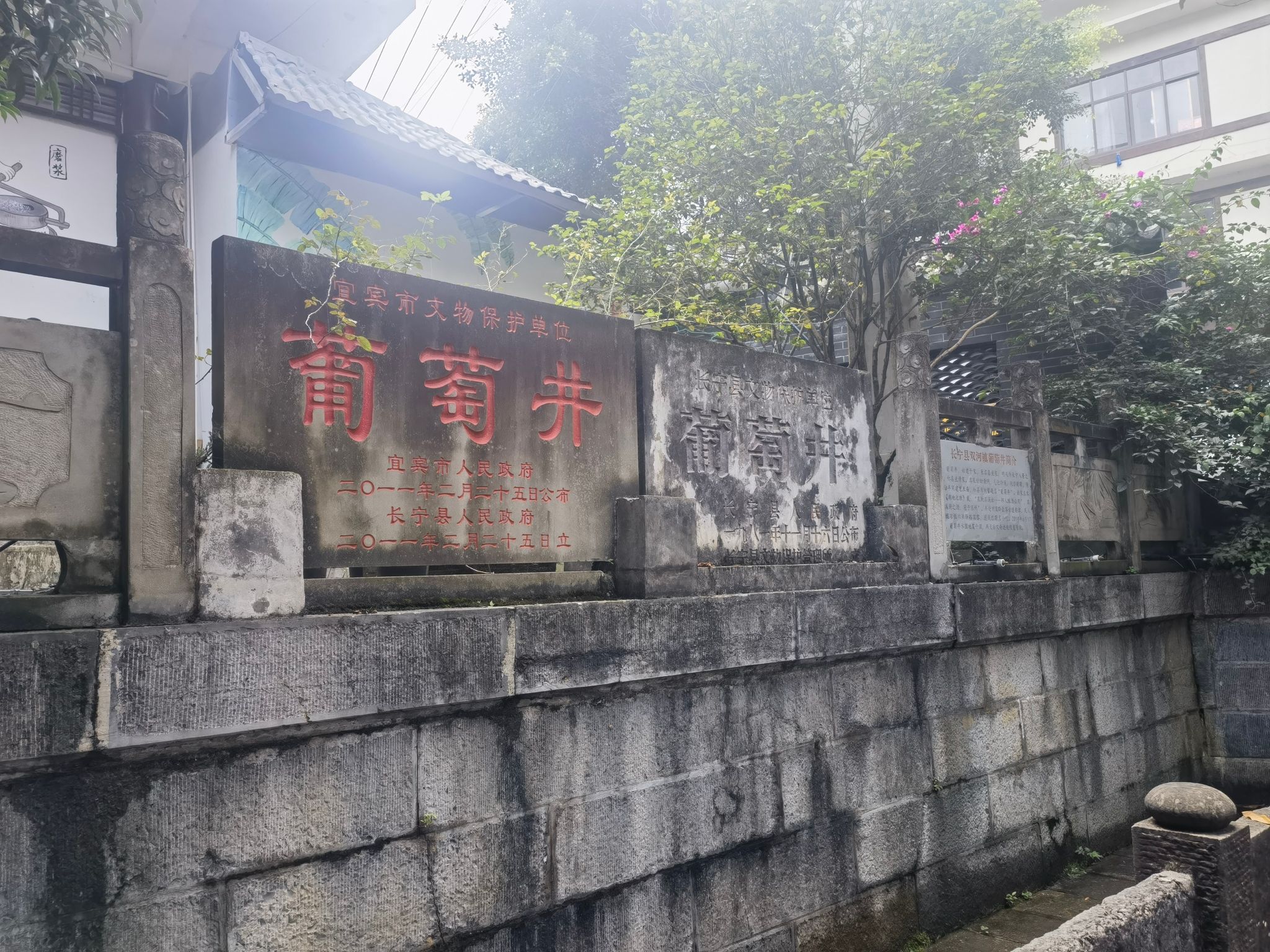 葡萄井旅行图片
