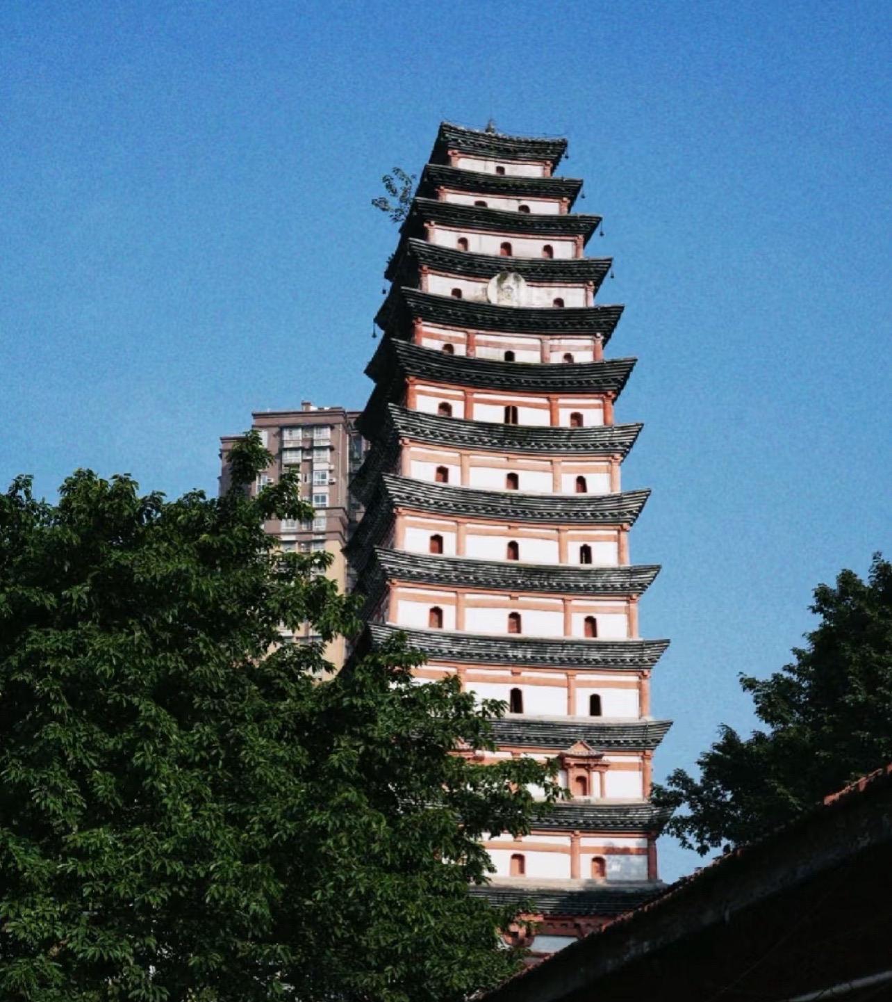白塔园旅行图片