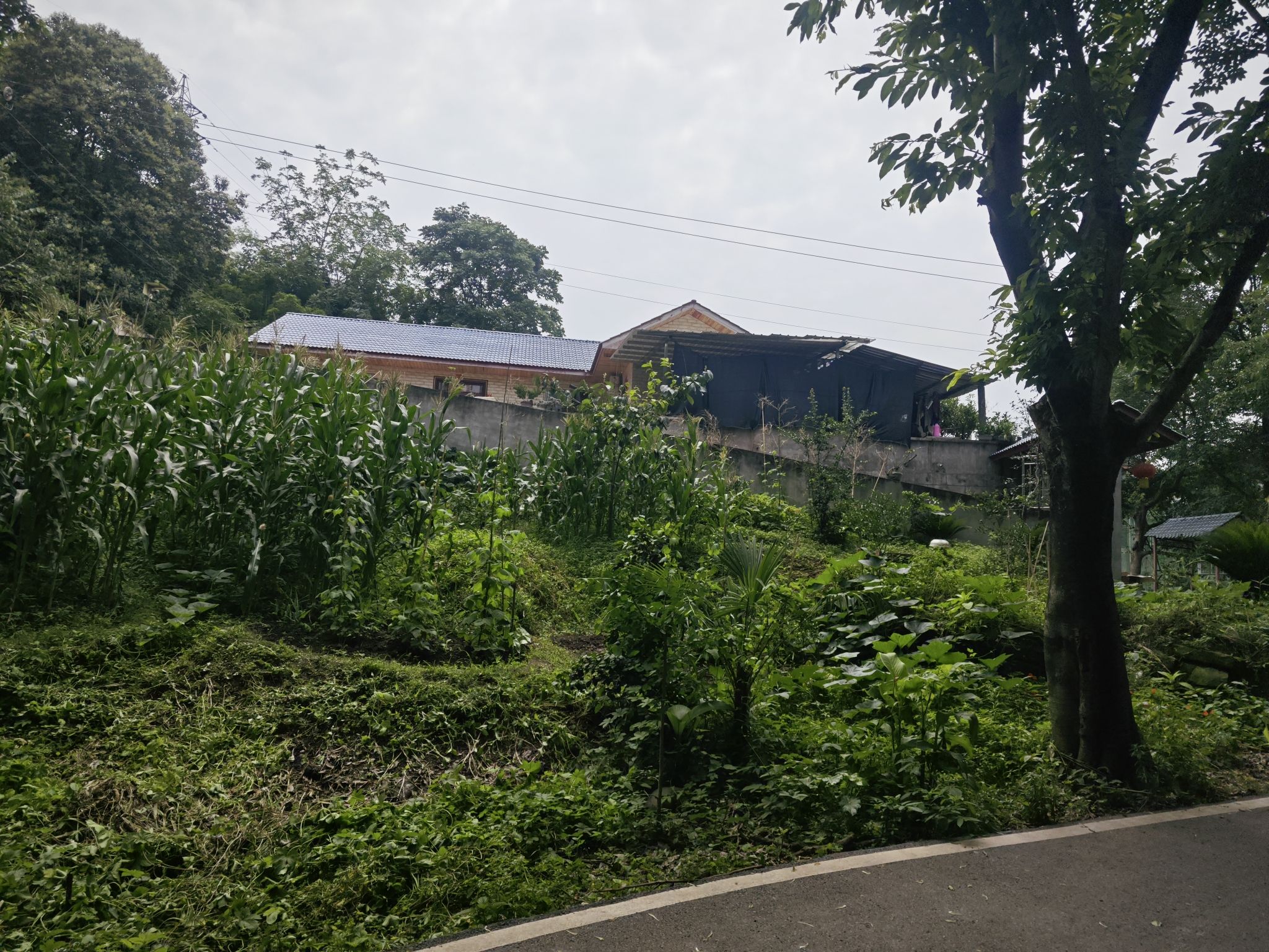 菩提山公园