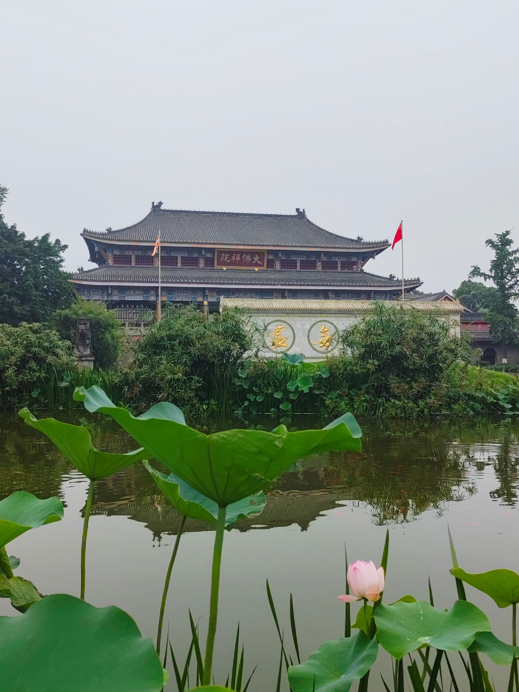 大佛禅院旅行图片