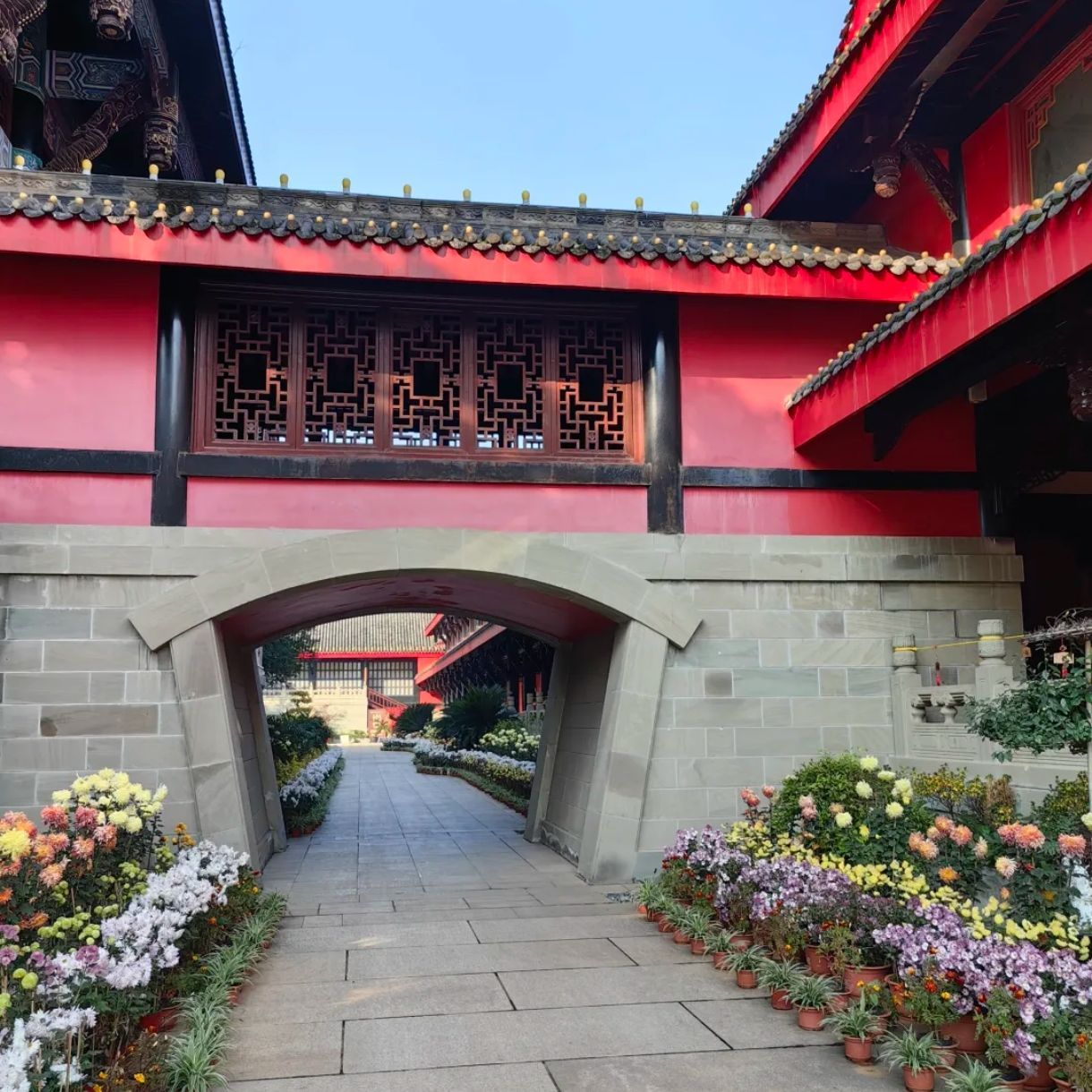 大佛禅院旅行图片