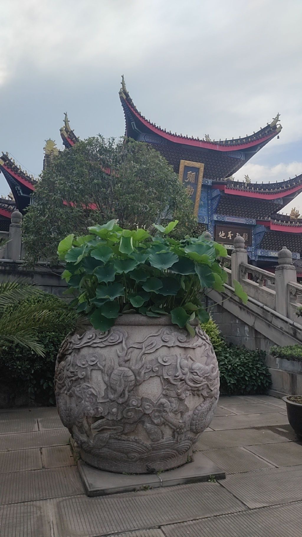 大佛禅院旅行图片