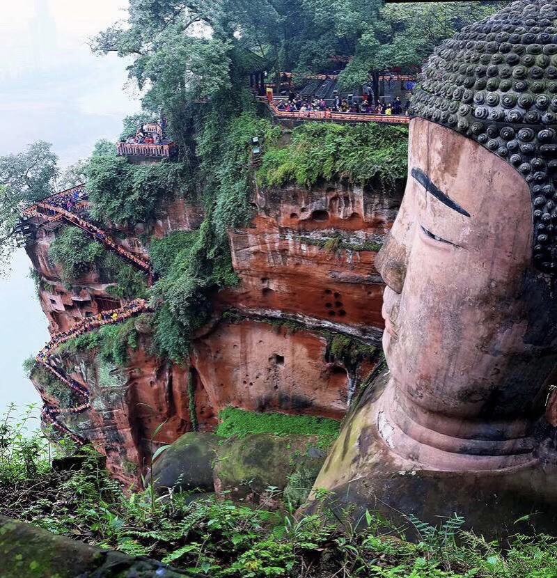 乐山大佛旅行图片