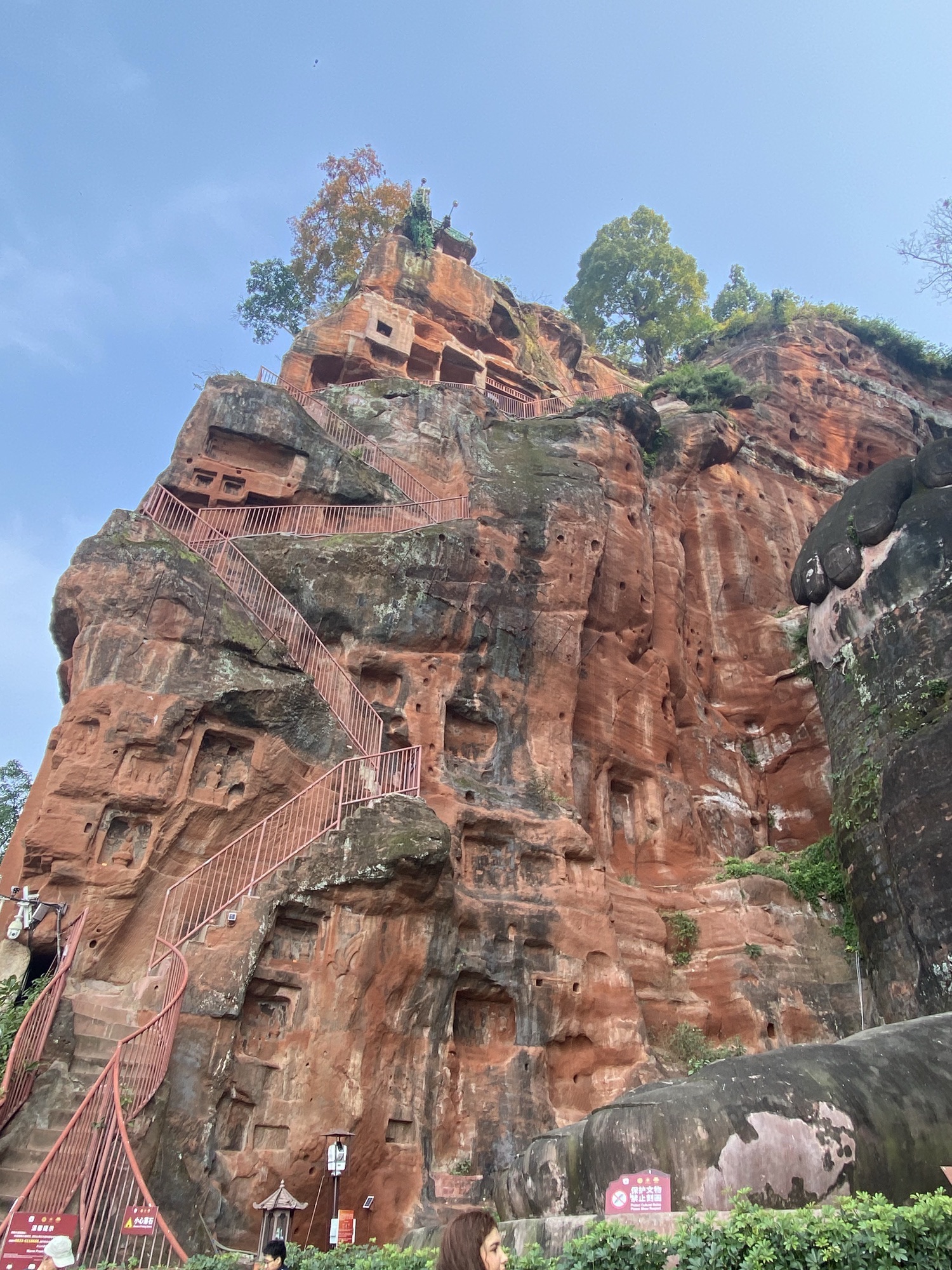 乐山大佛旅行图片