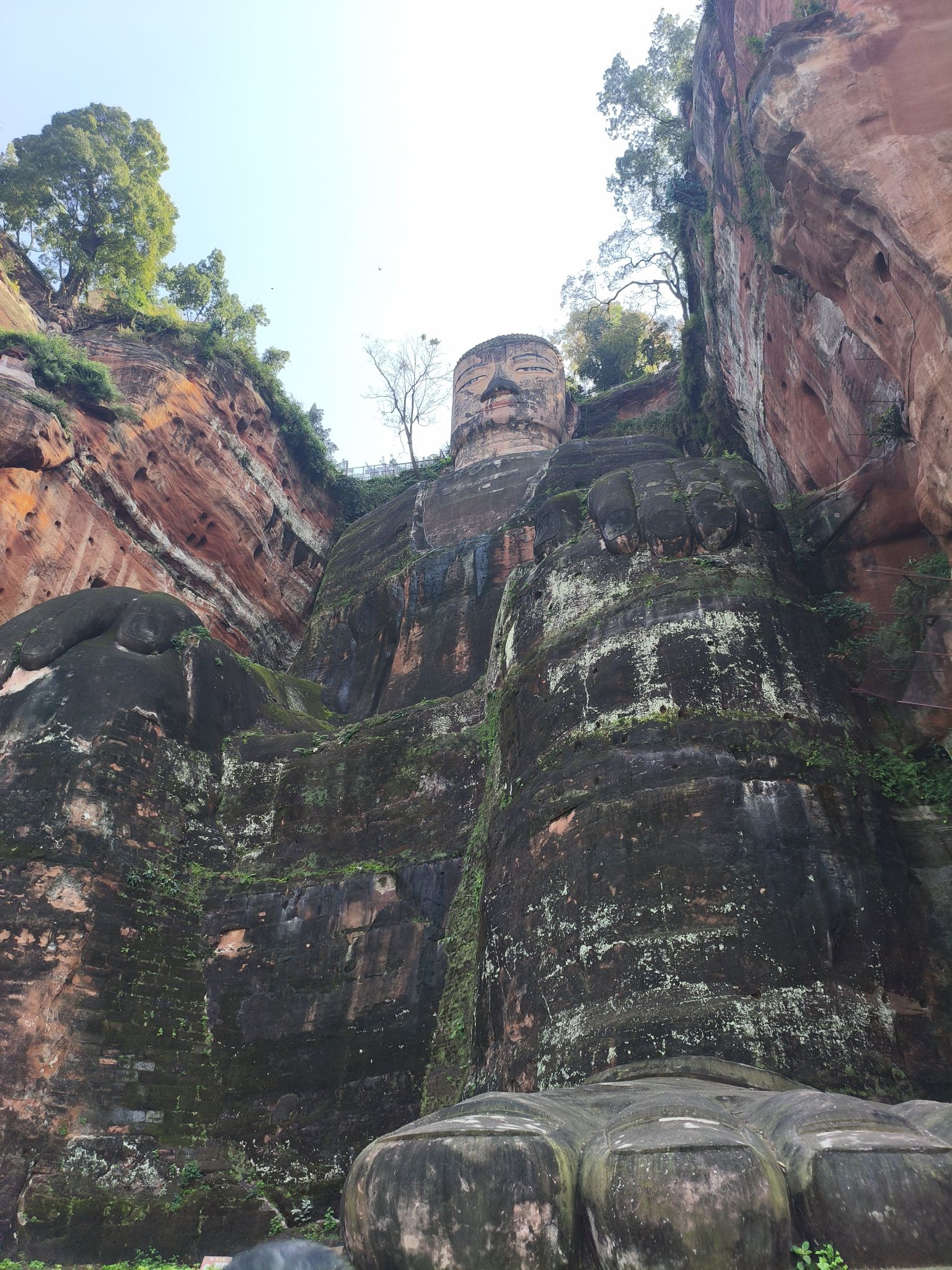乐山大佛旅行图片