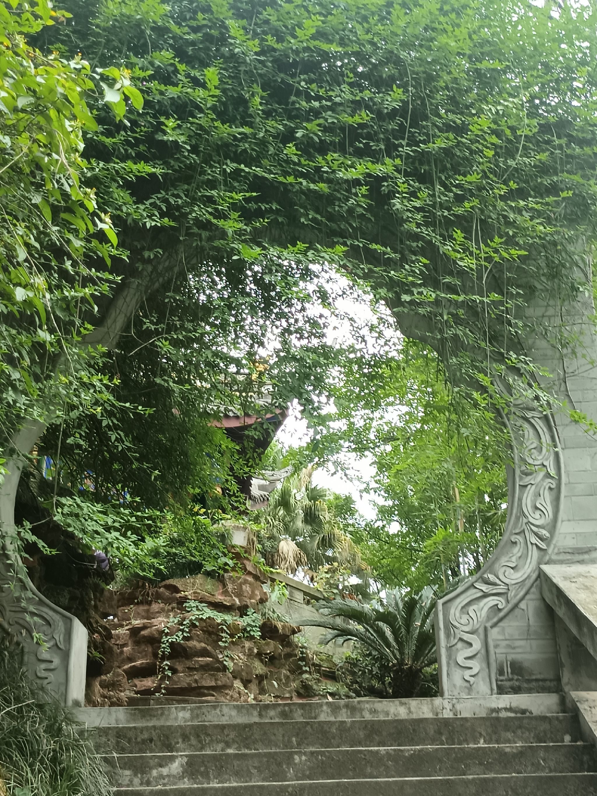 紫霞宫旅行图片