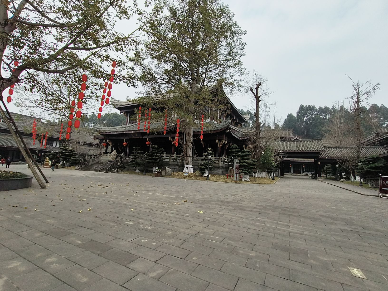 乌木珍品文化博物苑旅行图片