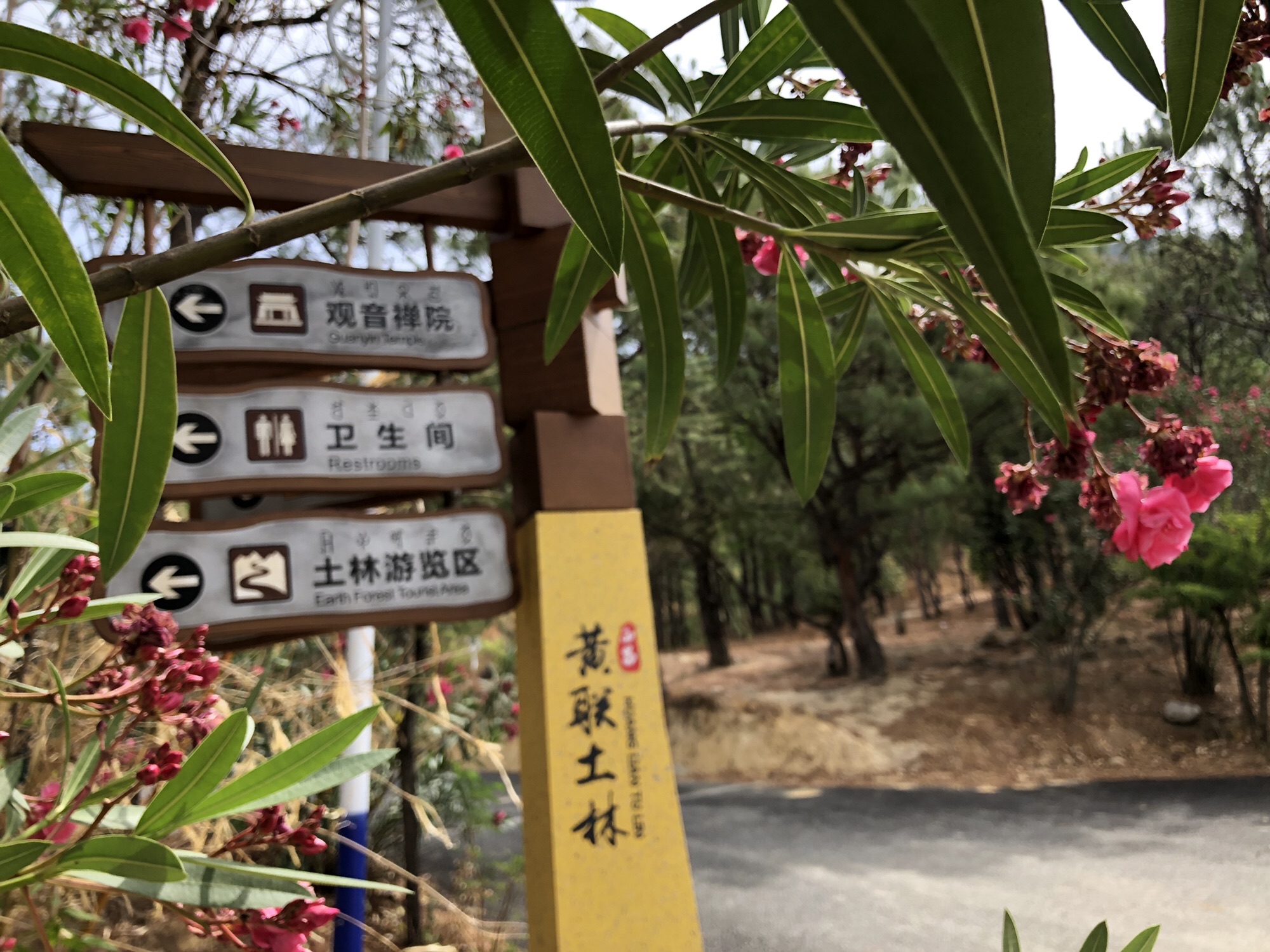 土林旅行图片