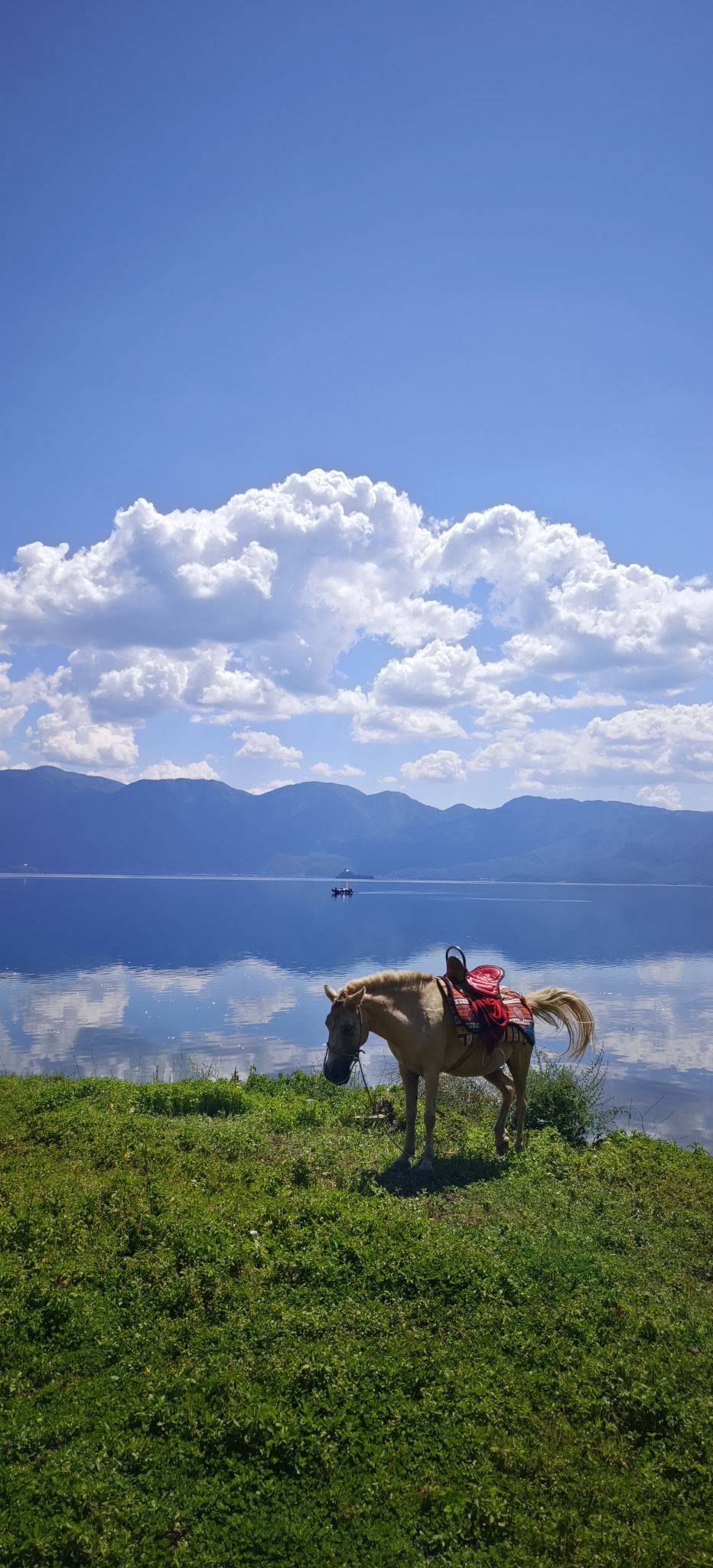 达祖码头旅行图片