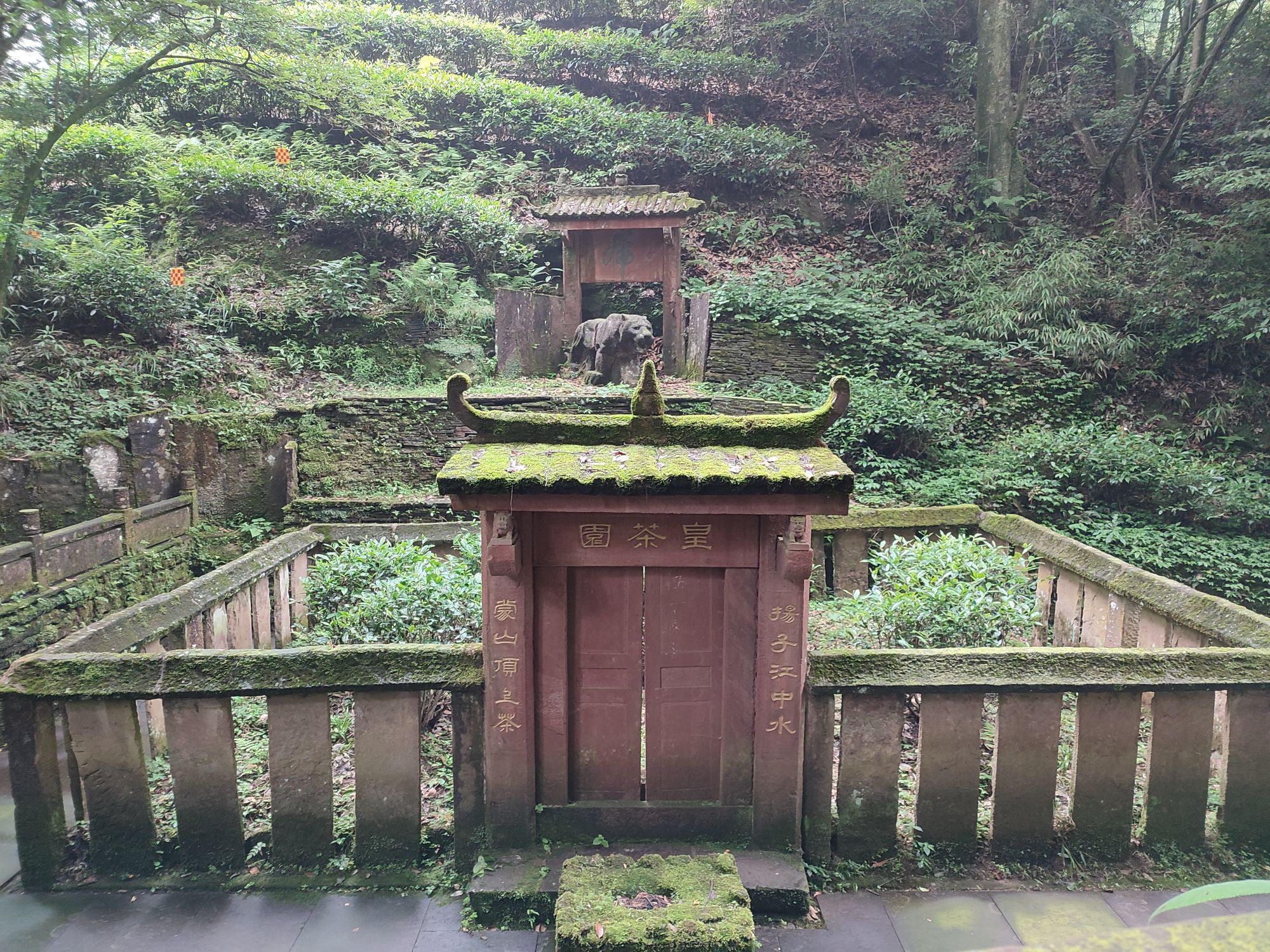 蒙顶山