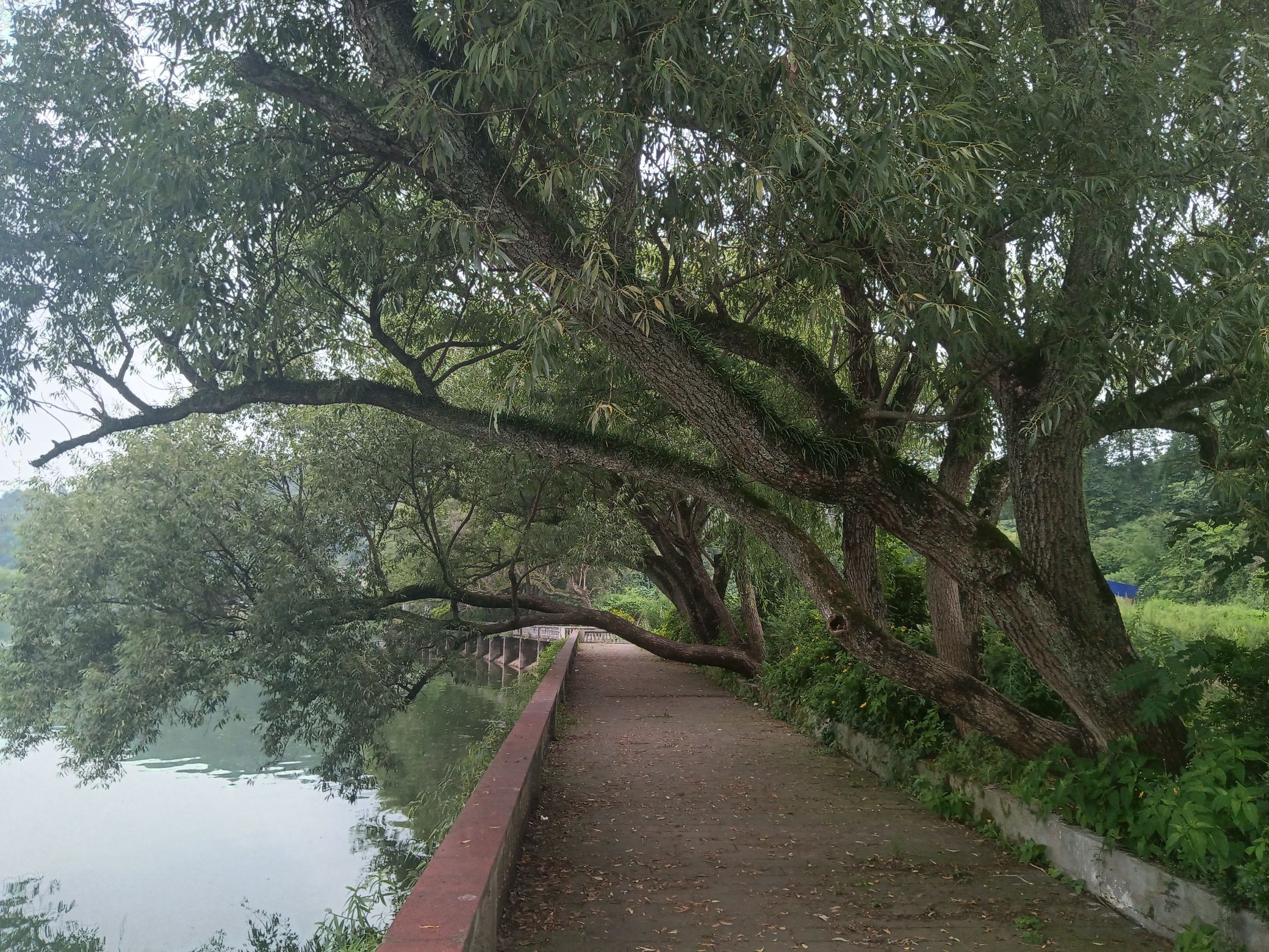 清漪湖旅游风景区