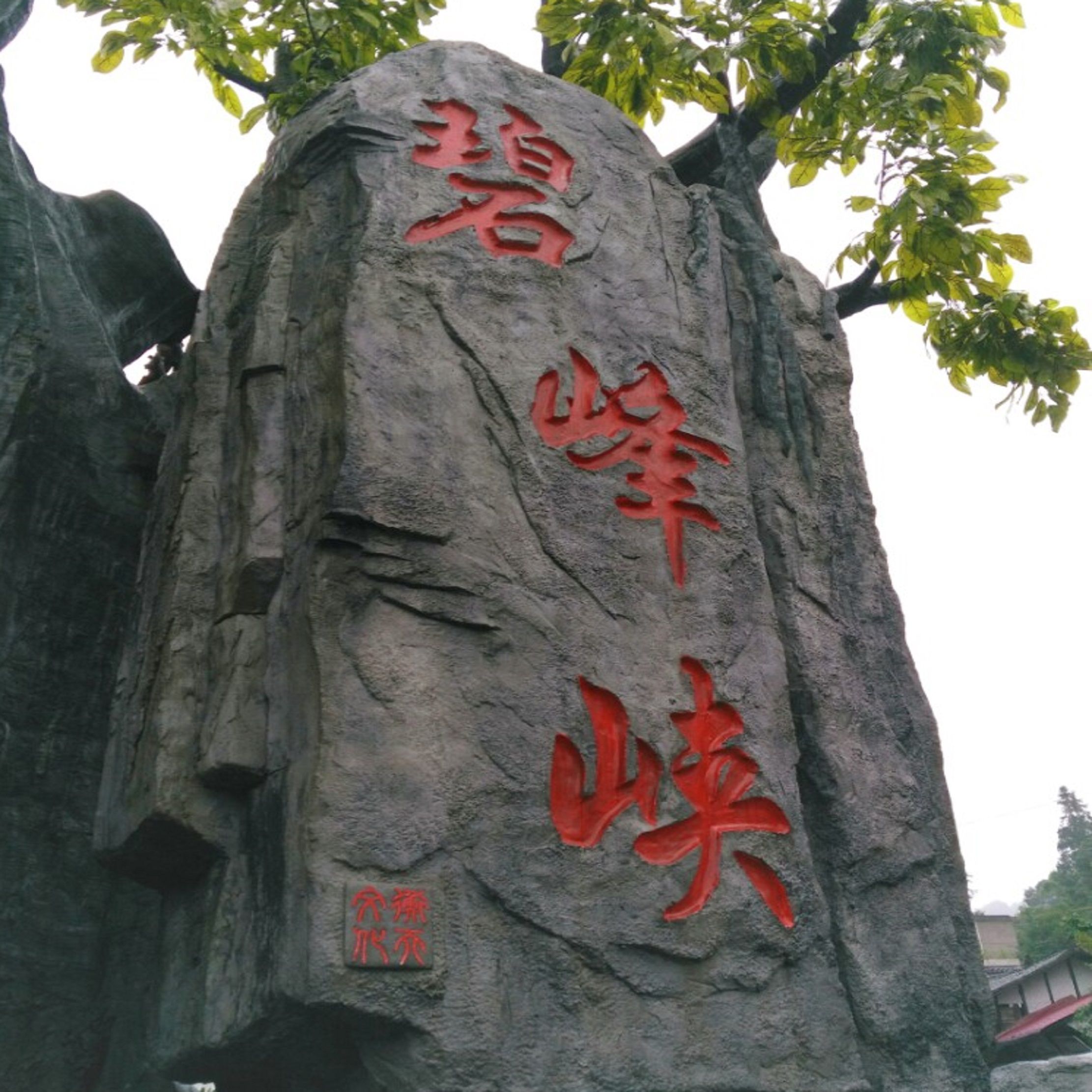 碧峰峡风景区旅行图片