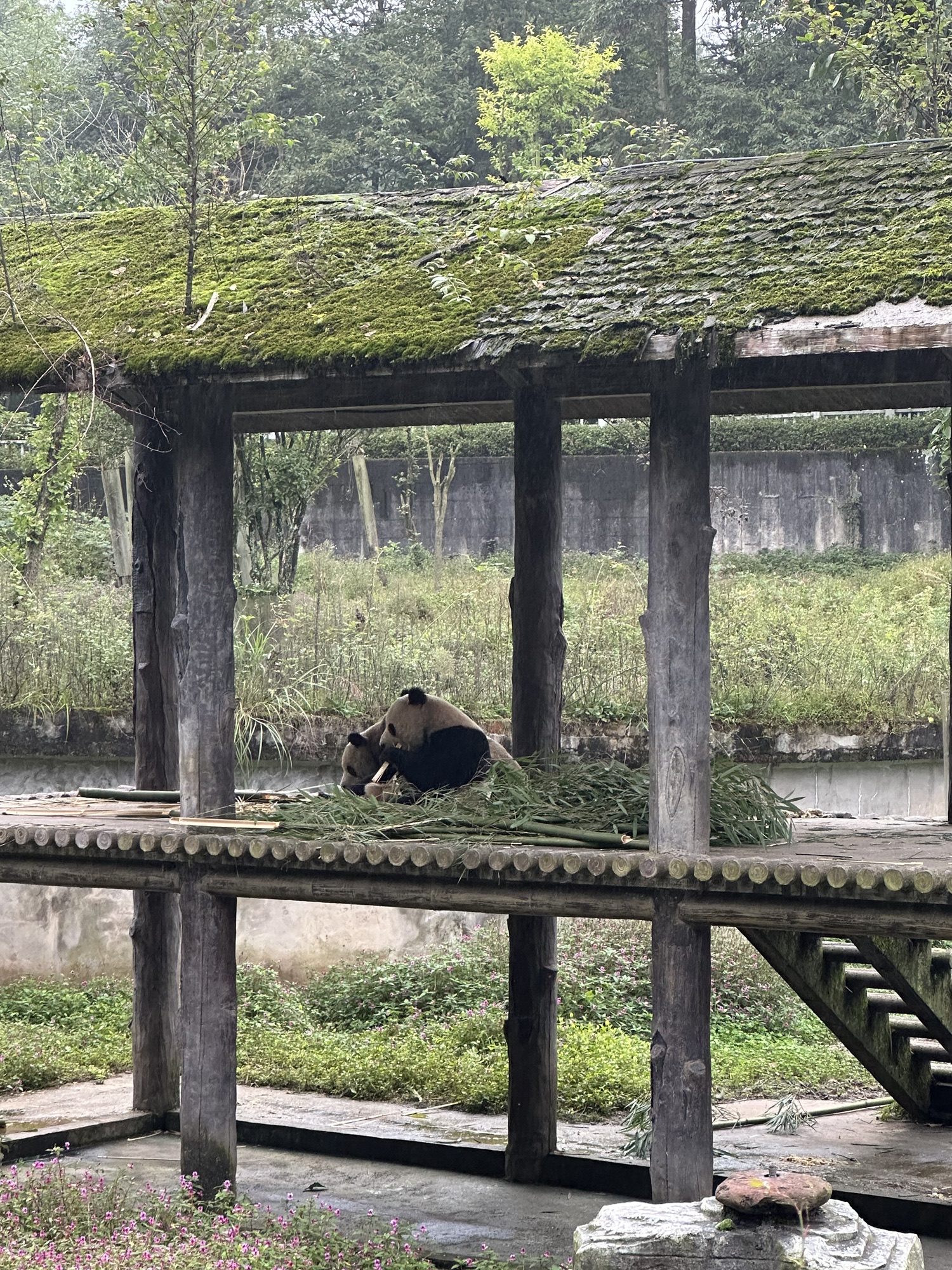 碧峰峡风景区旅行图片