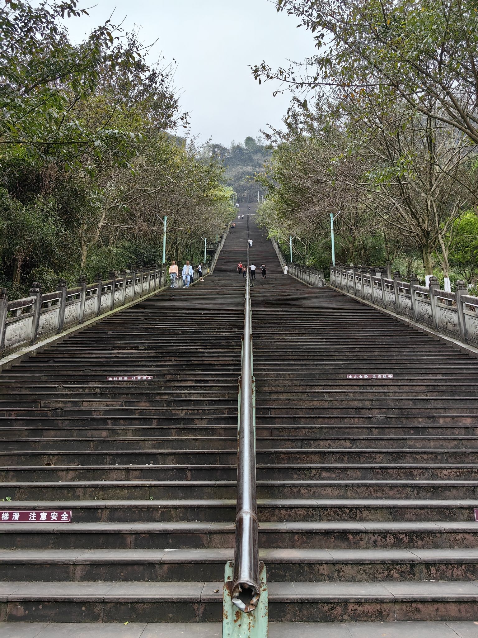 金凤山公园旅行图片