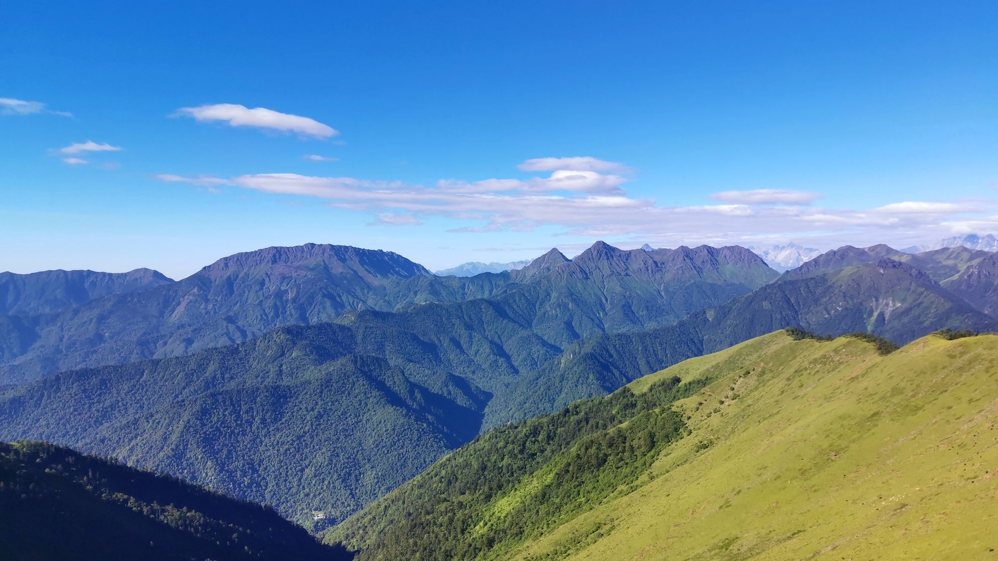 夹金山国家森林公园旅行图片